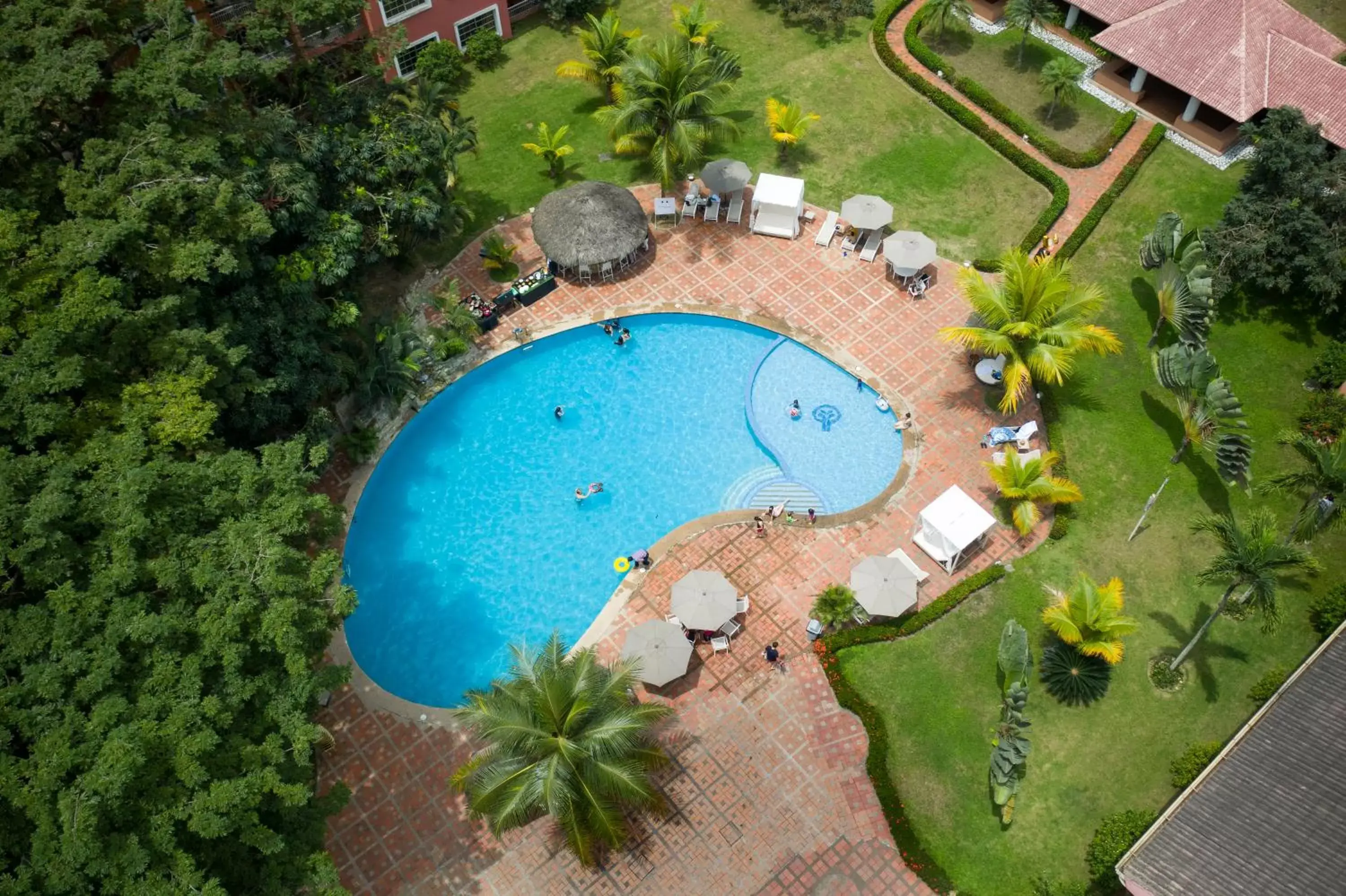 Swimming pool, Pool View in Oro Verde Machala