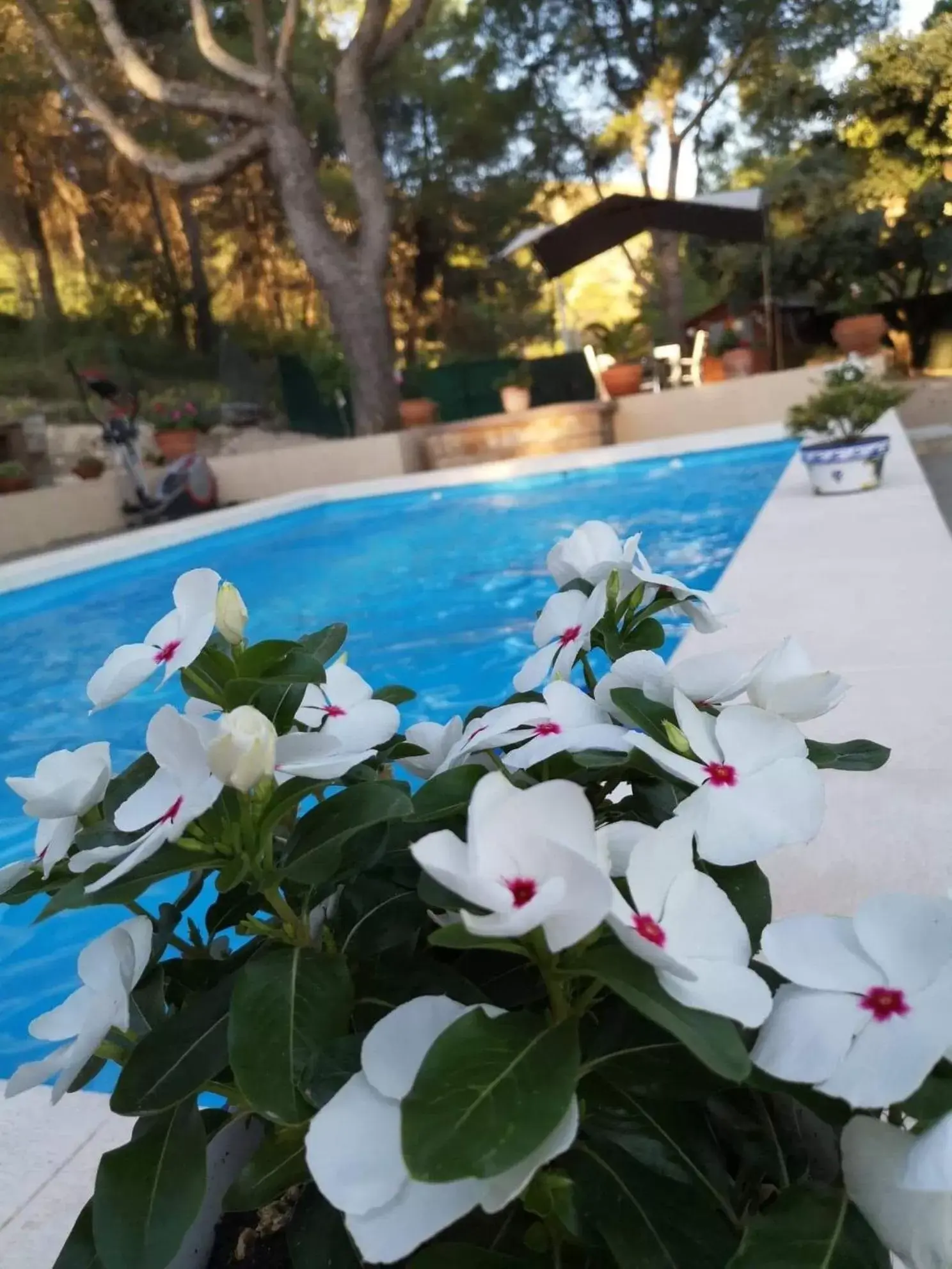 Pool view, Swimming Pool in Casa Jetizo