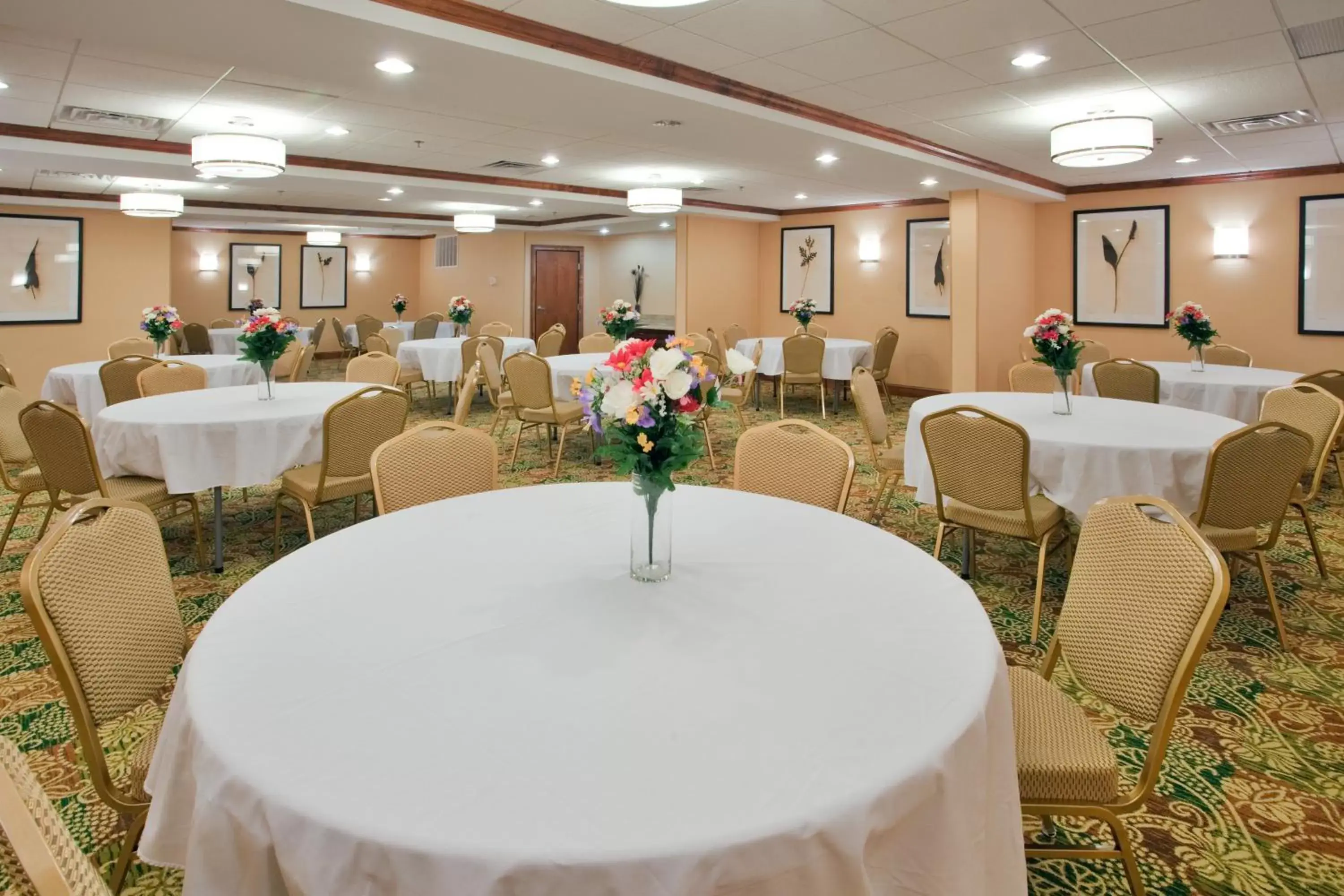 Meeting/conference room, Banquet Facilities in Holiday Inn Express Hotel & Suites Fredericksburg, an IHG Hotel