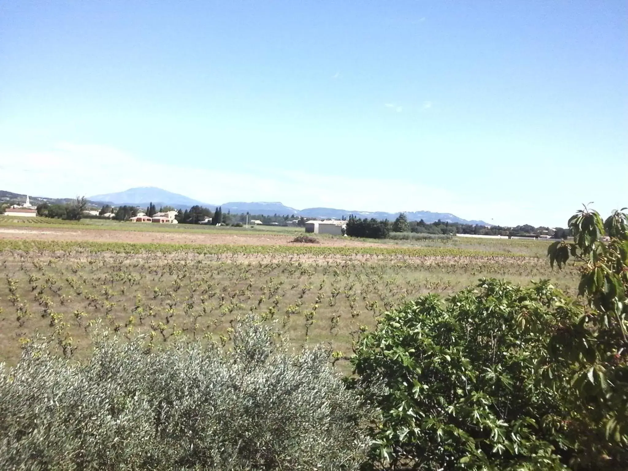 Garden in Vents d'Anges