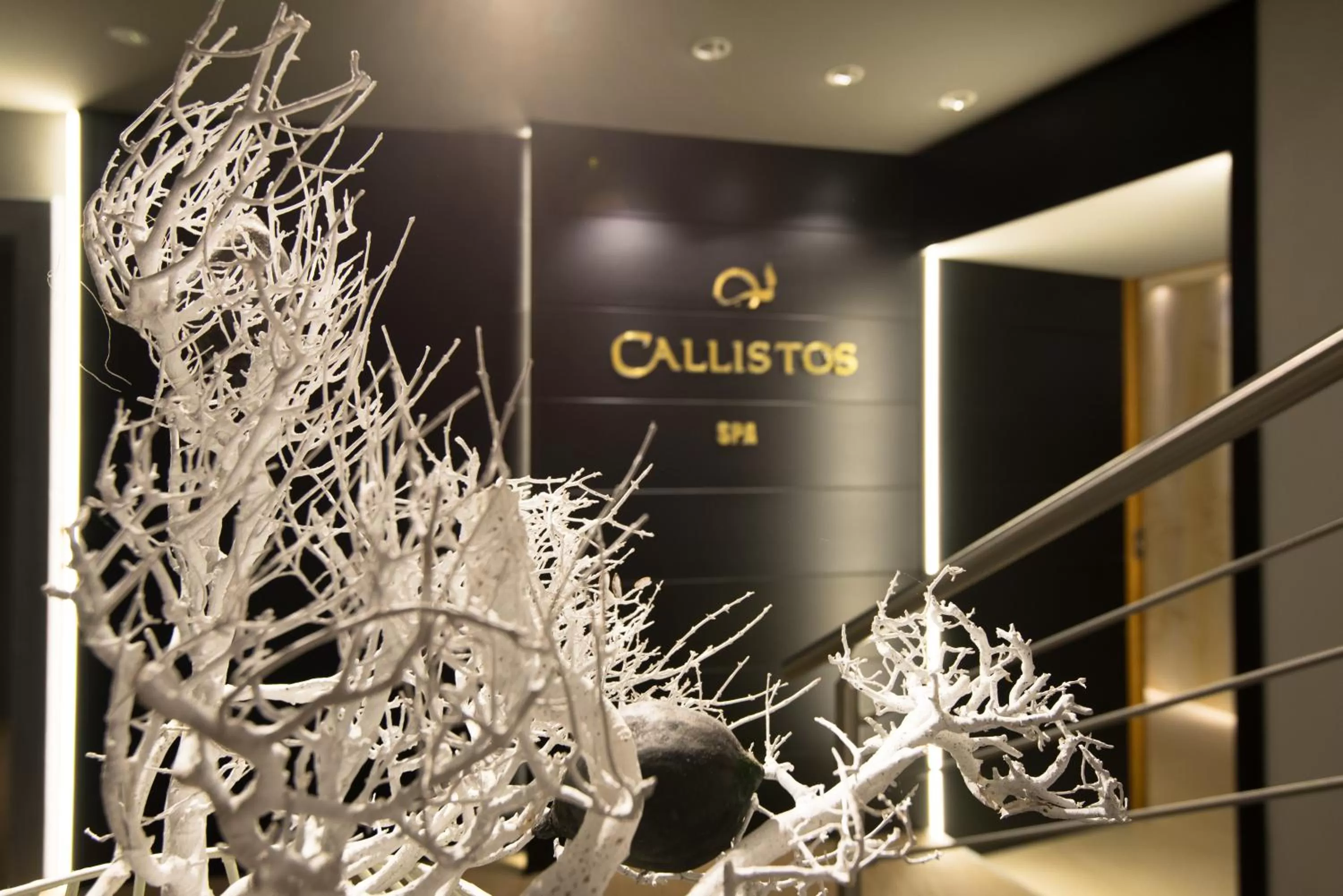 Spa and wellness centre/facilities in Callistos Hotel & Spa