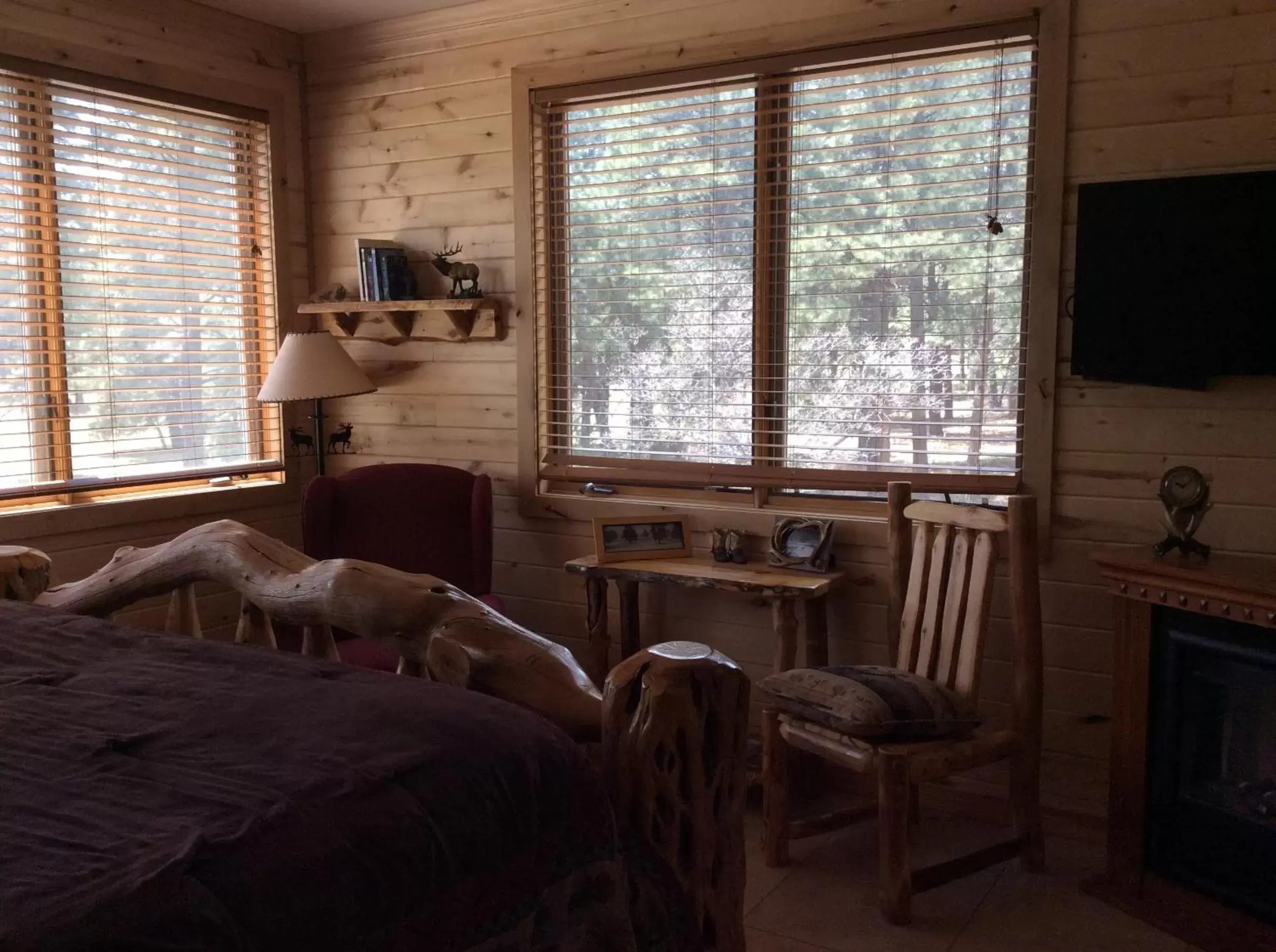 Photo of the whole room, TV/Entertainment Center in Elktrace Bed and Breakfast