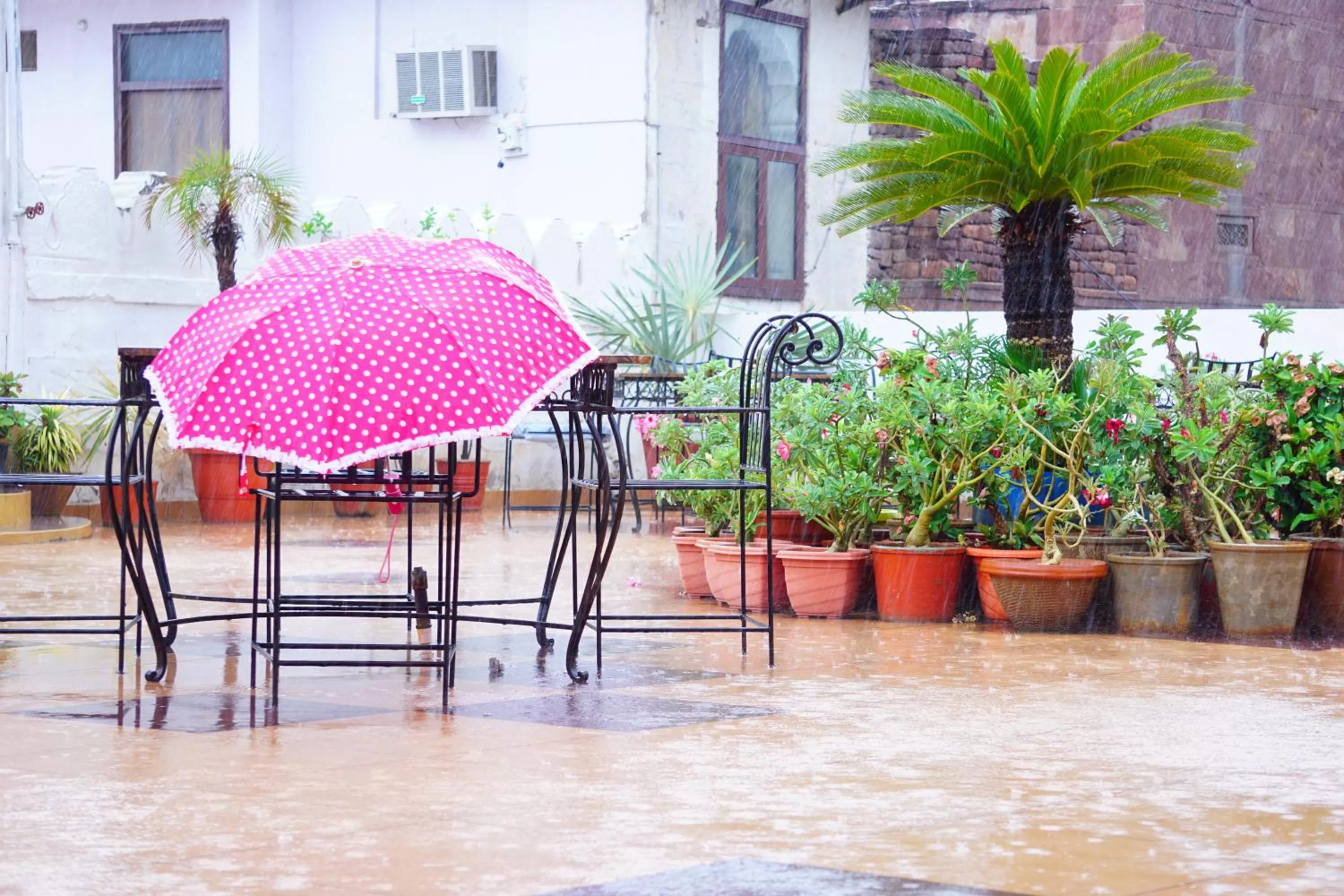 Seasons in Nirvana Home