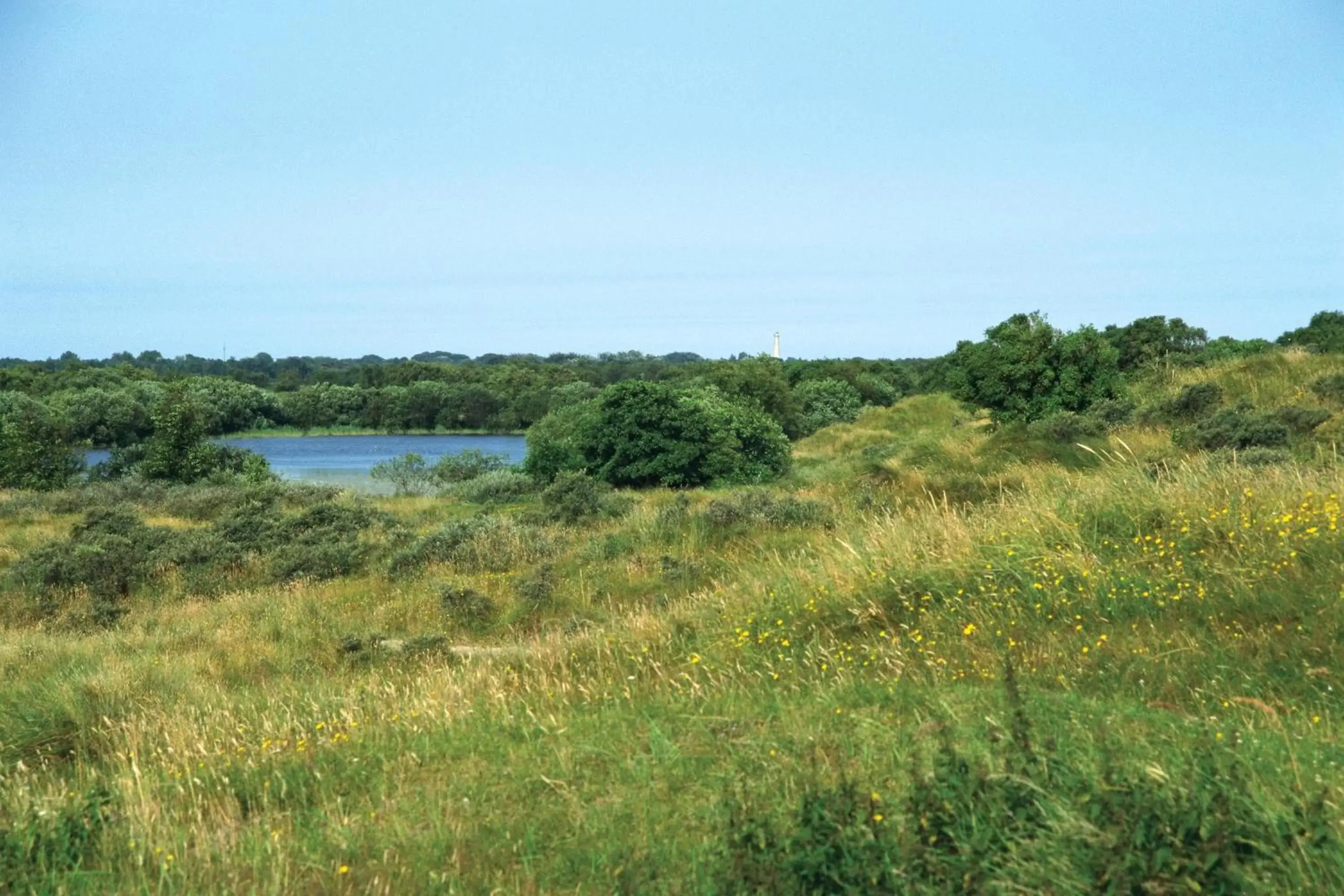 Area and facilities, Natural Landscape in Fletcher Hotel Restaurant Heidehof