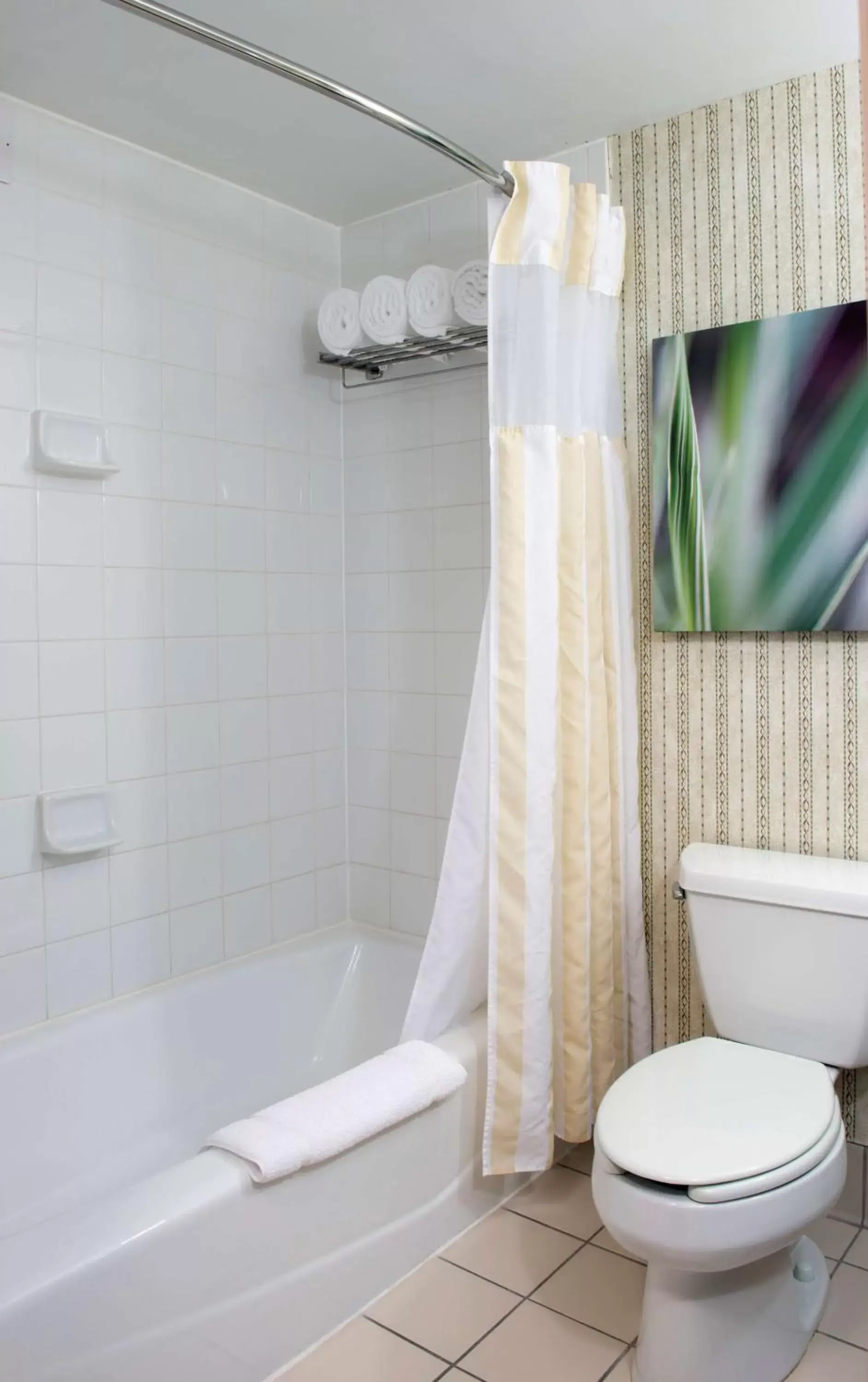 Bathroom in Hilton Garden Inn Rock Hill