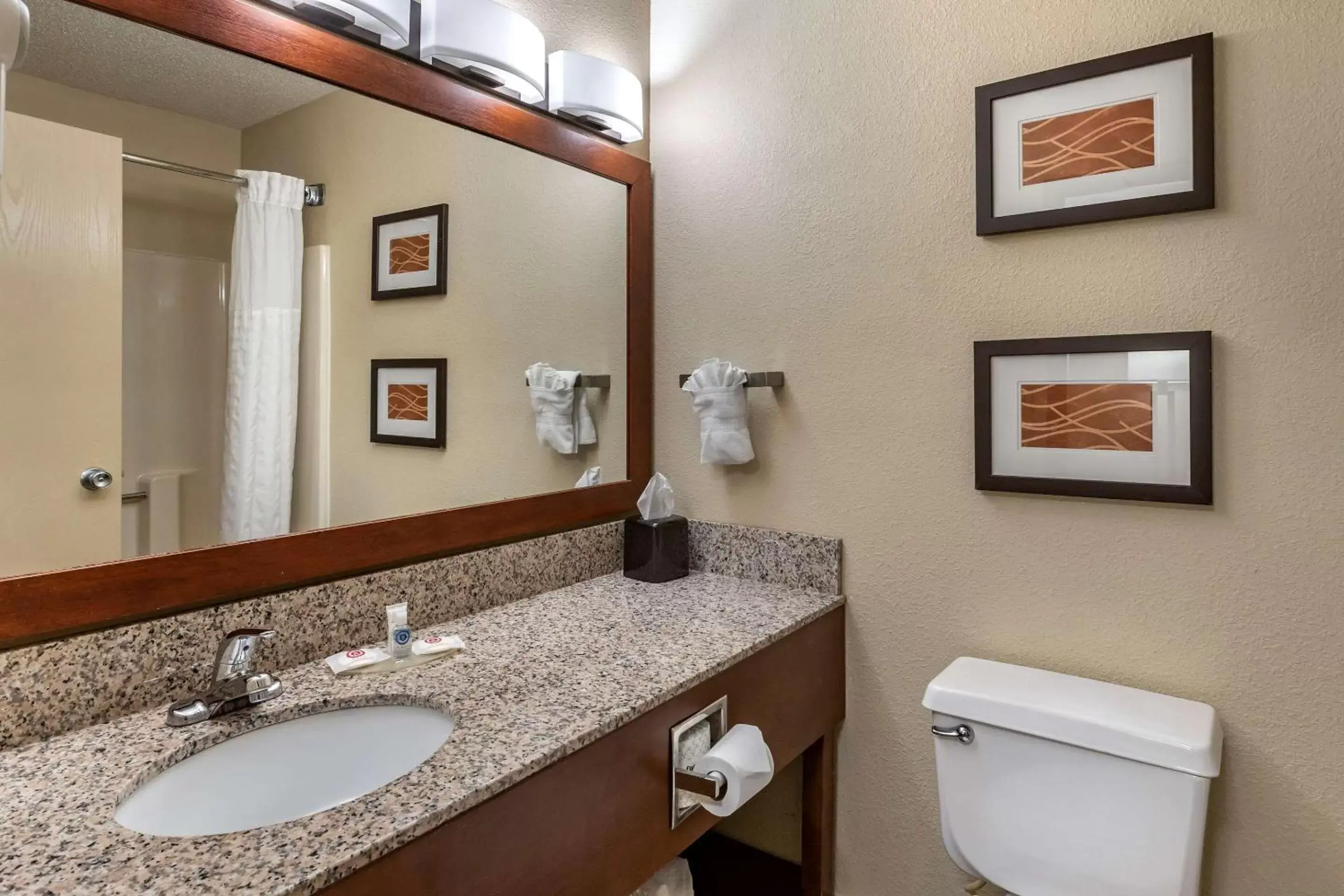 Bathroom in Comfort Inn Moline - Quad Cities