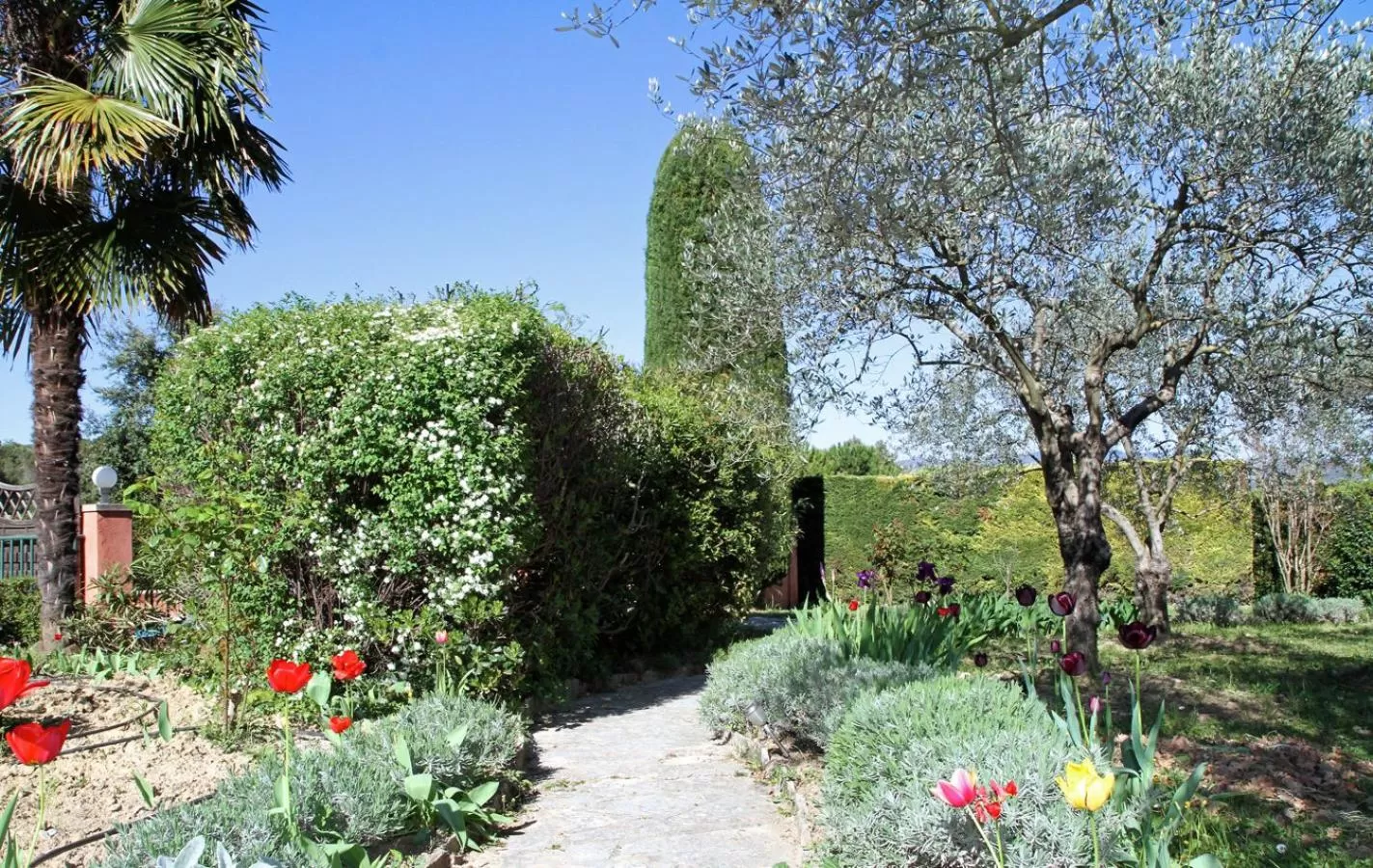 Garden in Les Verveines de Vaison