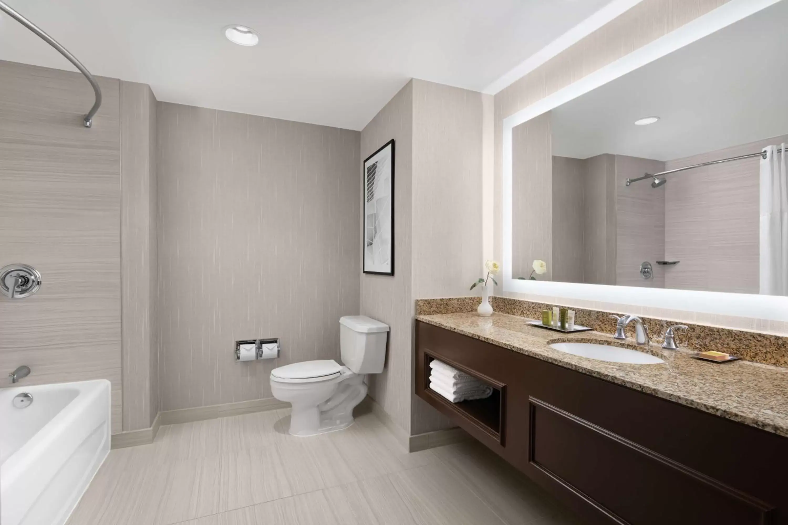 Bathroom in Hilton Indianapolis Hotel & Suites