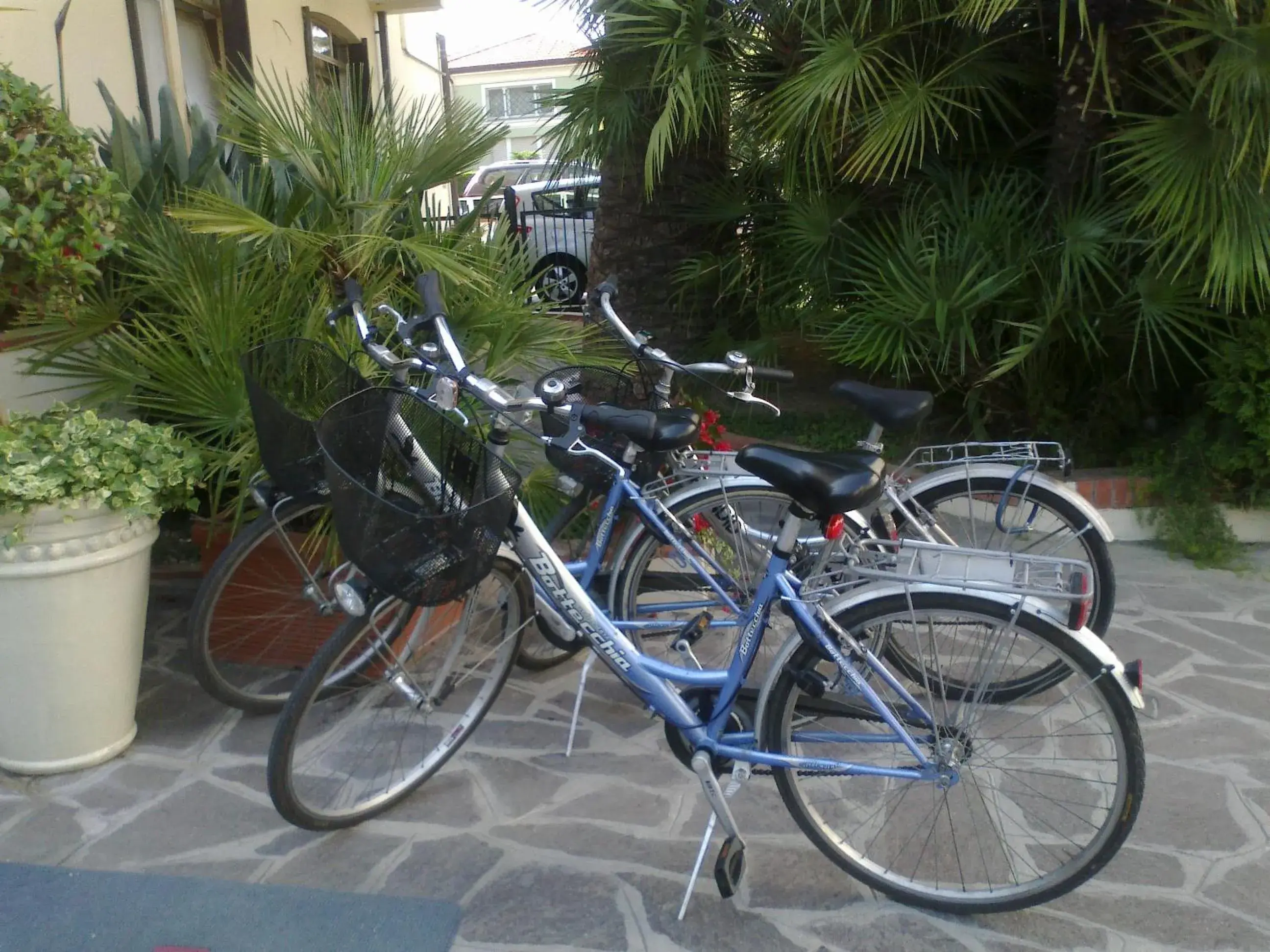 Garden, Biking in Hotel Splendid