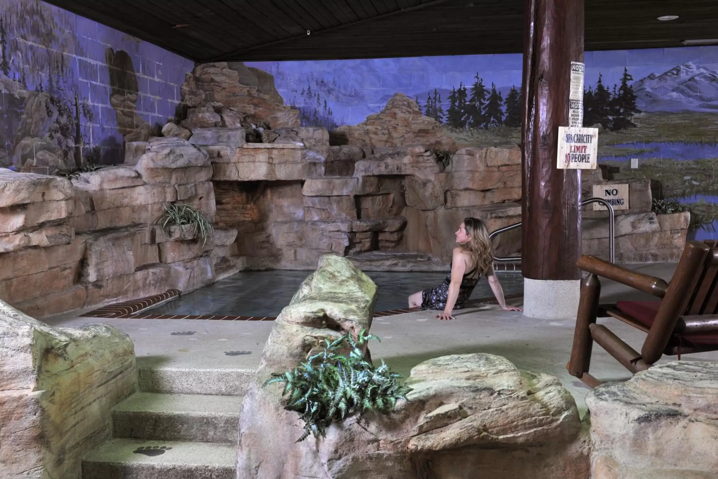 Hot Tub, Pets in Stoney Creek Inn Quincy