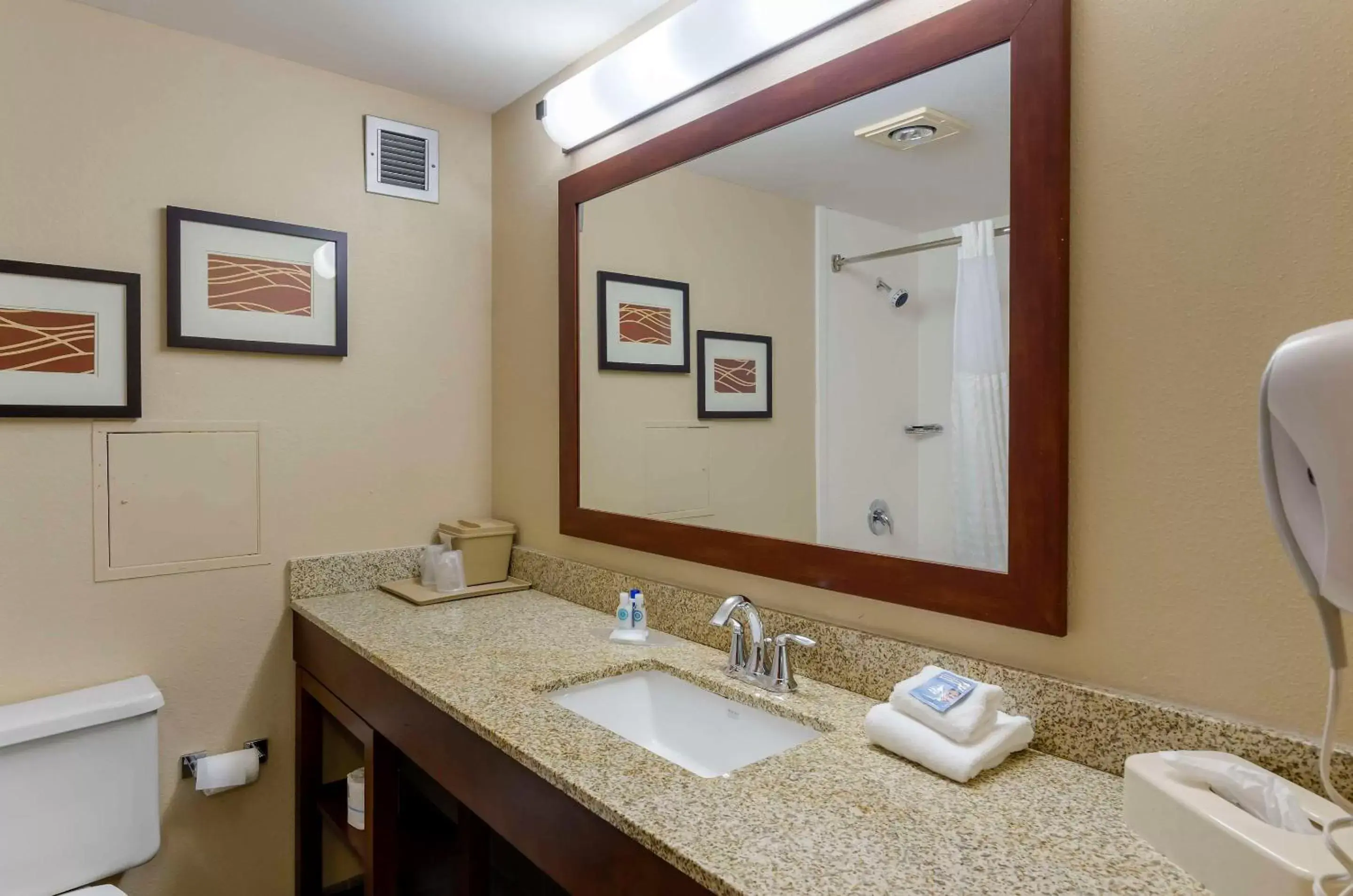 Bedroom, Bathroom in Comfort Inn Blacksburg University Area