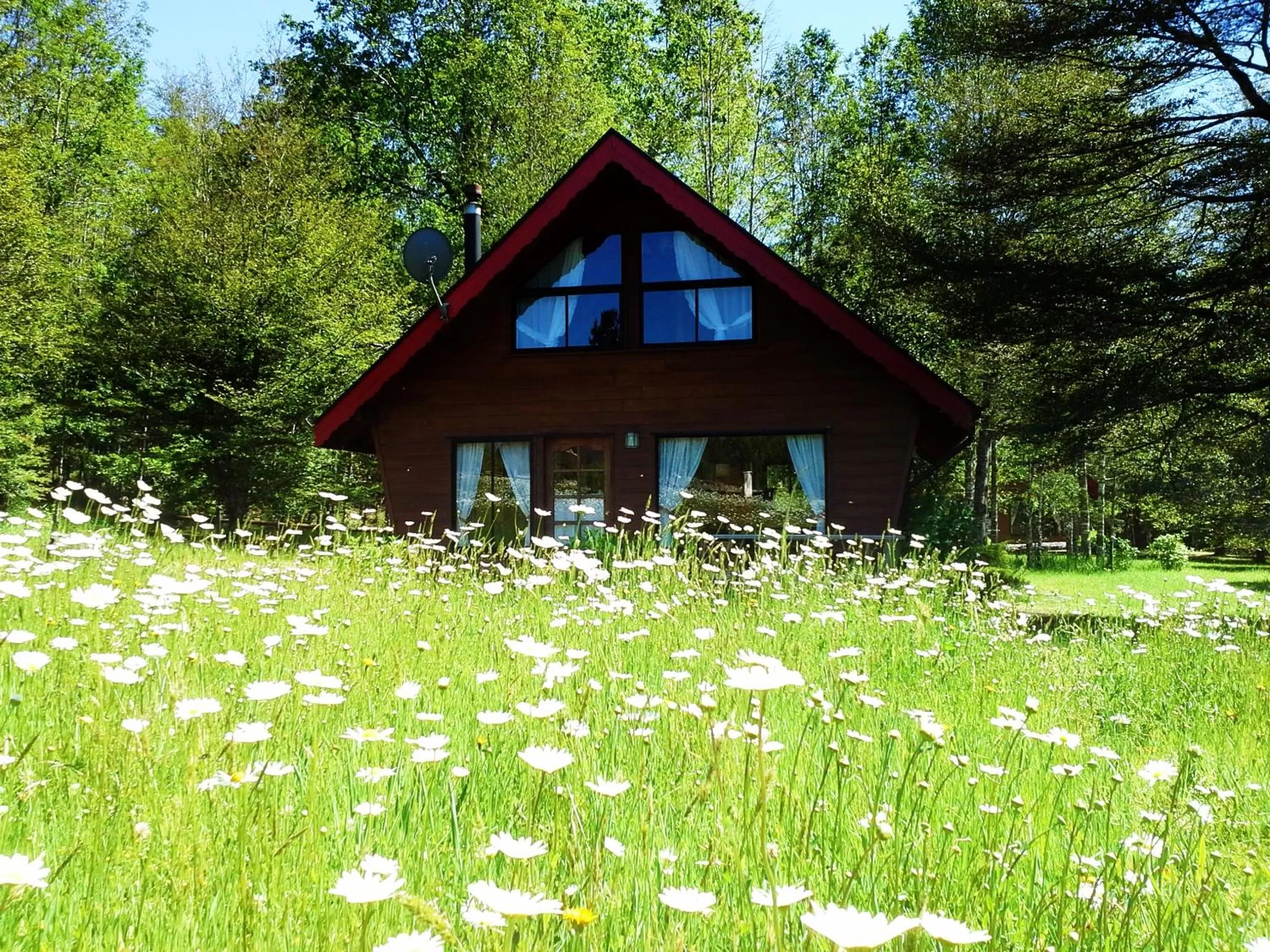 Decorative detail, Property Building in Hotel Salto del Carileufu