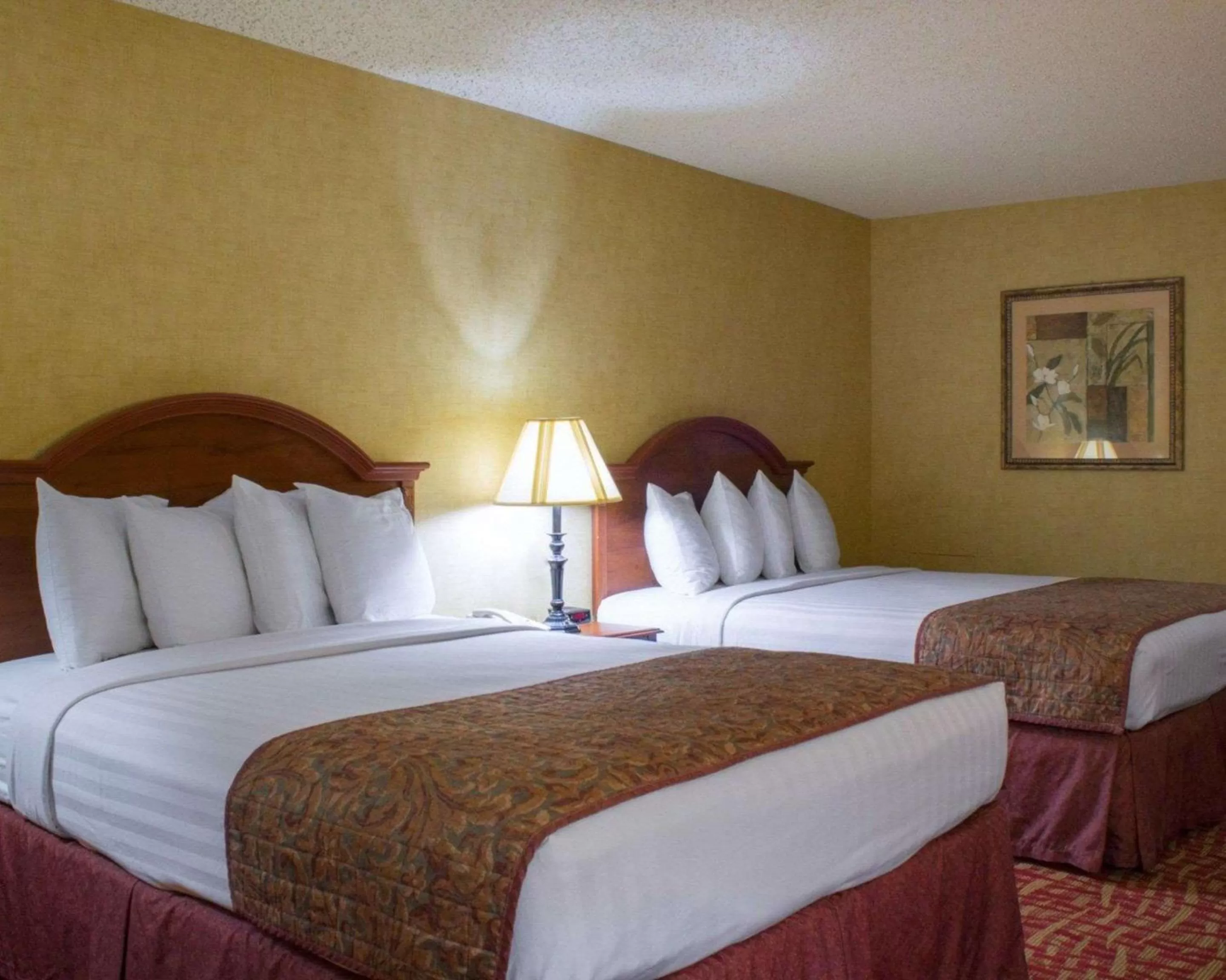 Photo of the whole room, Bed in Rodeway Inn Columbia Mall Loop