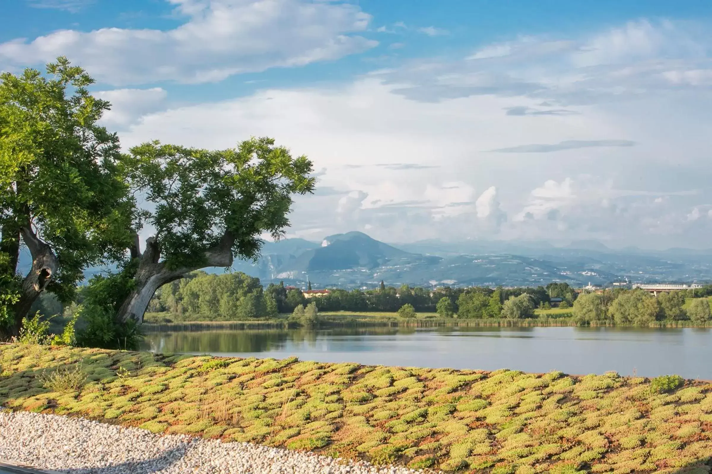 Lake view, Garden in Le Ali Del Frassino