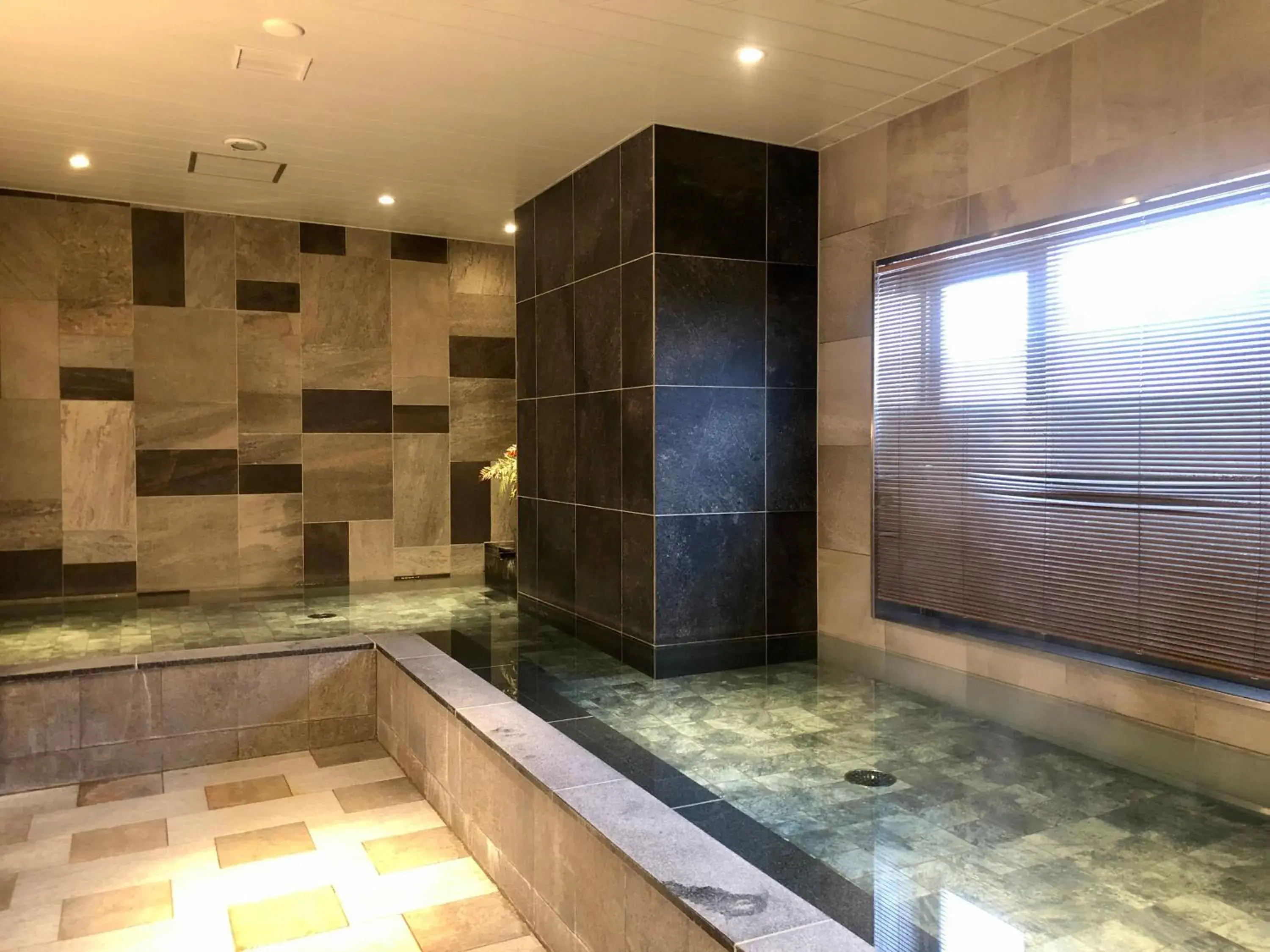 Spa and wellness centre/facilities, Swimming Pool in Hotel Relief Sapporo Susukino