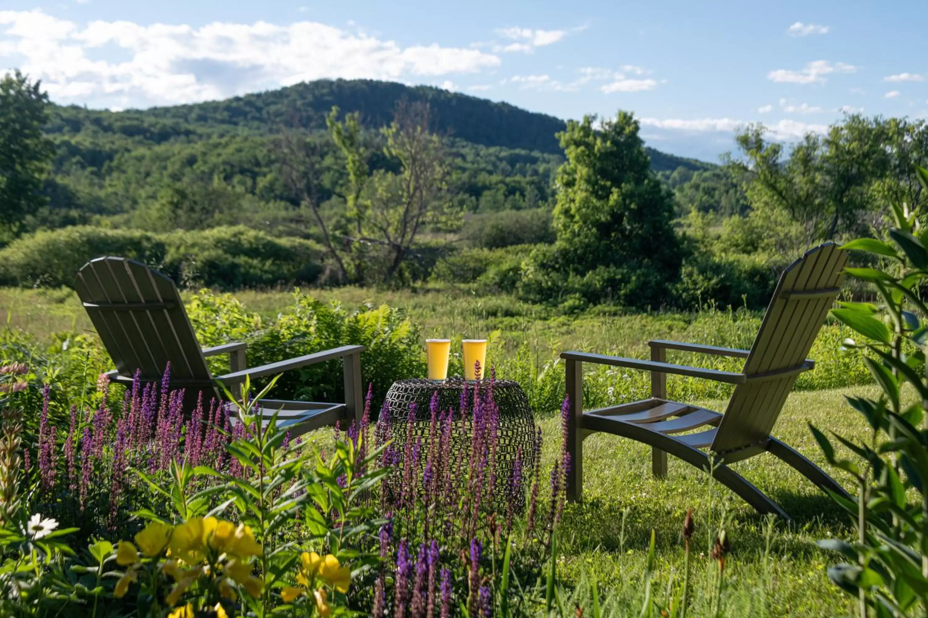 Mountain view in Sinclair Inn Bed & Breakfast