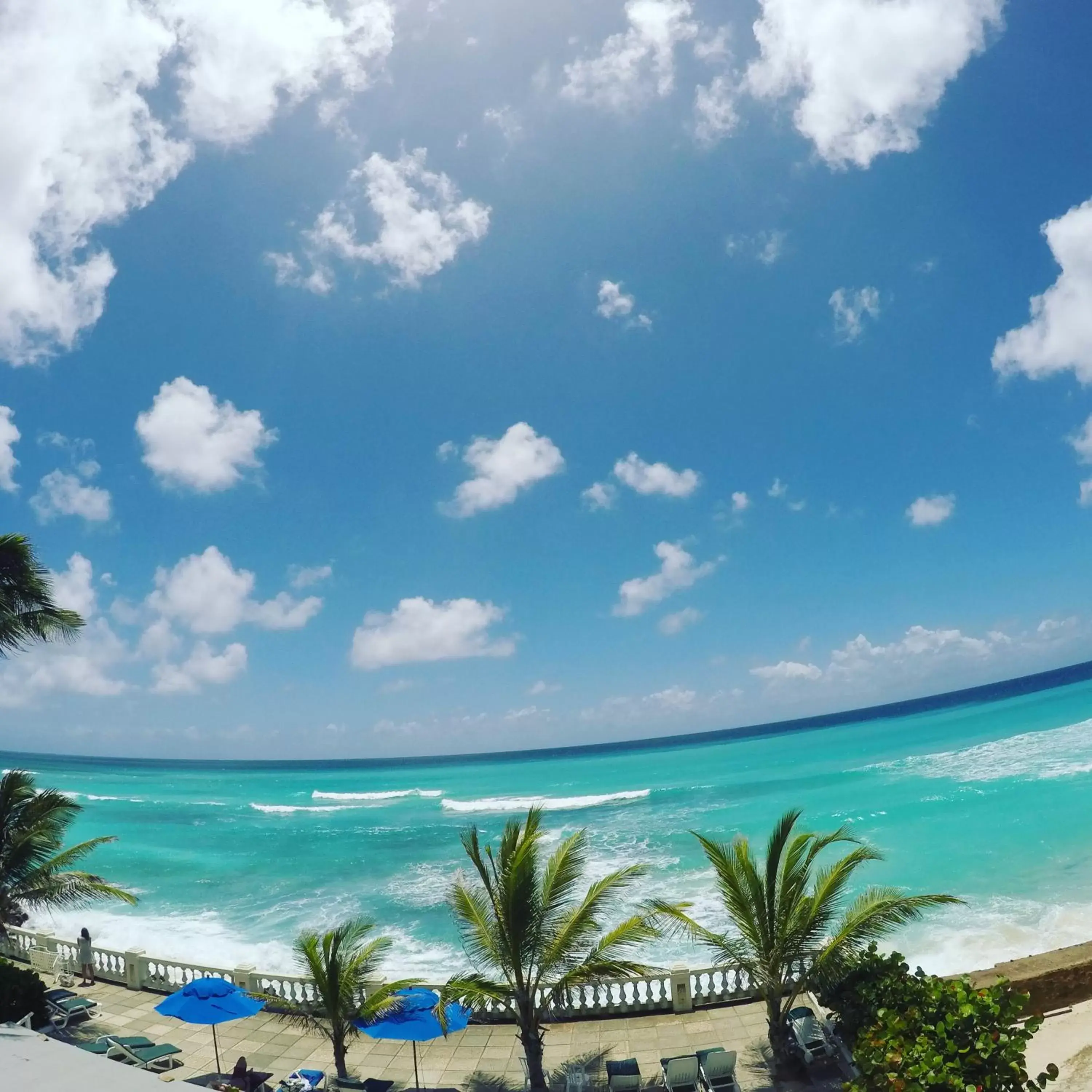 Natural landscape, Sea View in Dover Beach Hotel