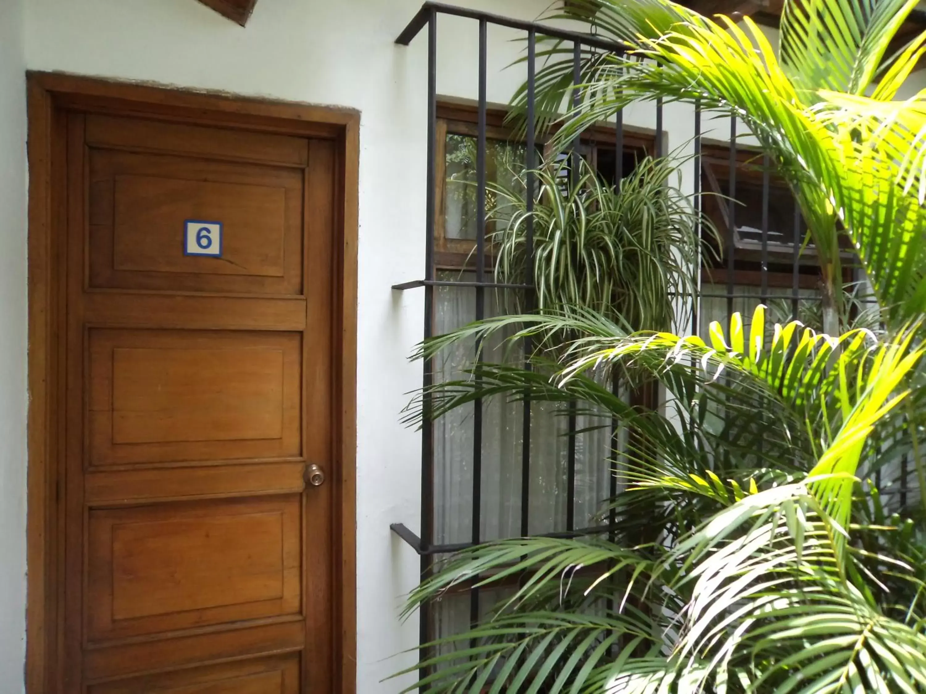 Garden in Casa Encantada