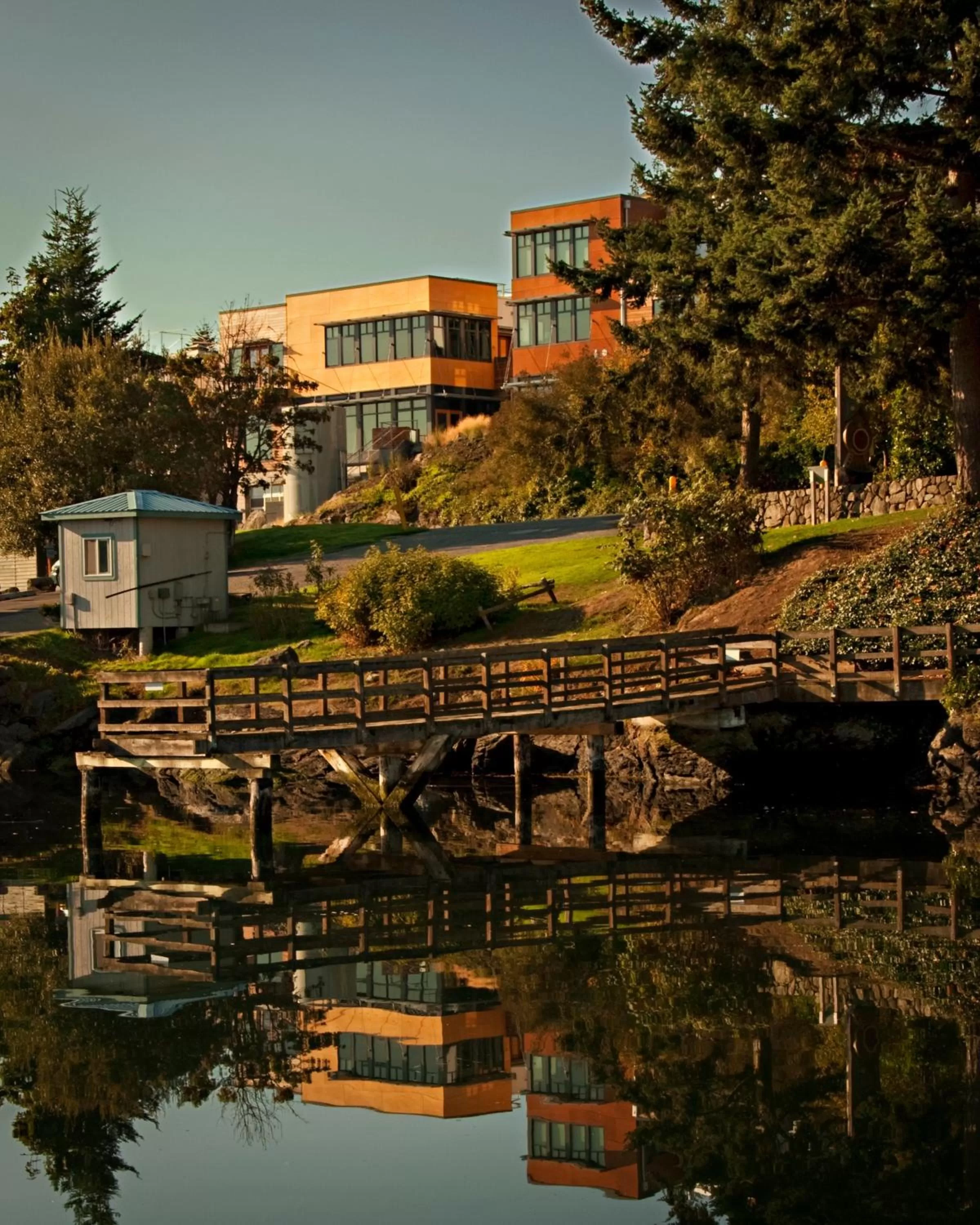 Area and facilities, Property Building in Island Inn at 123 West