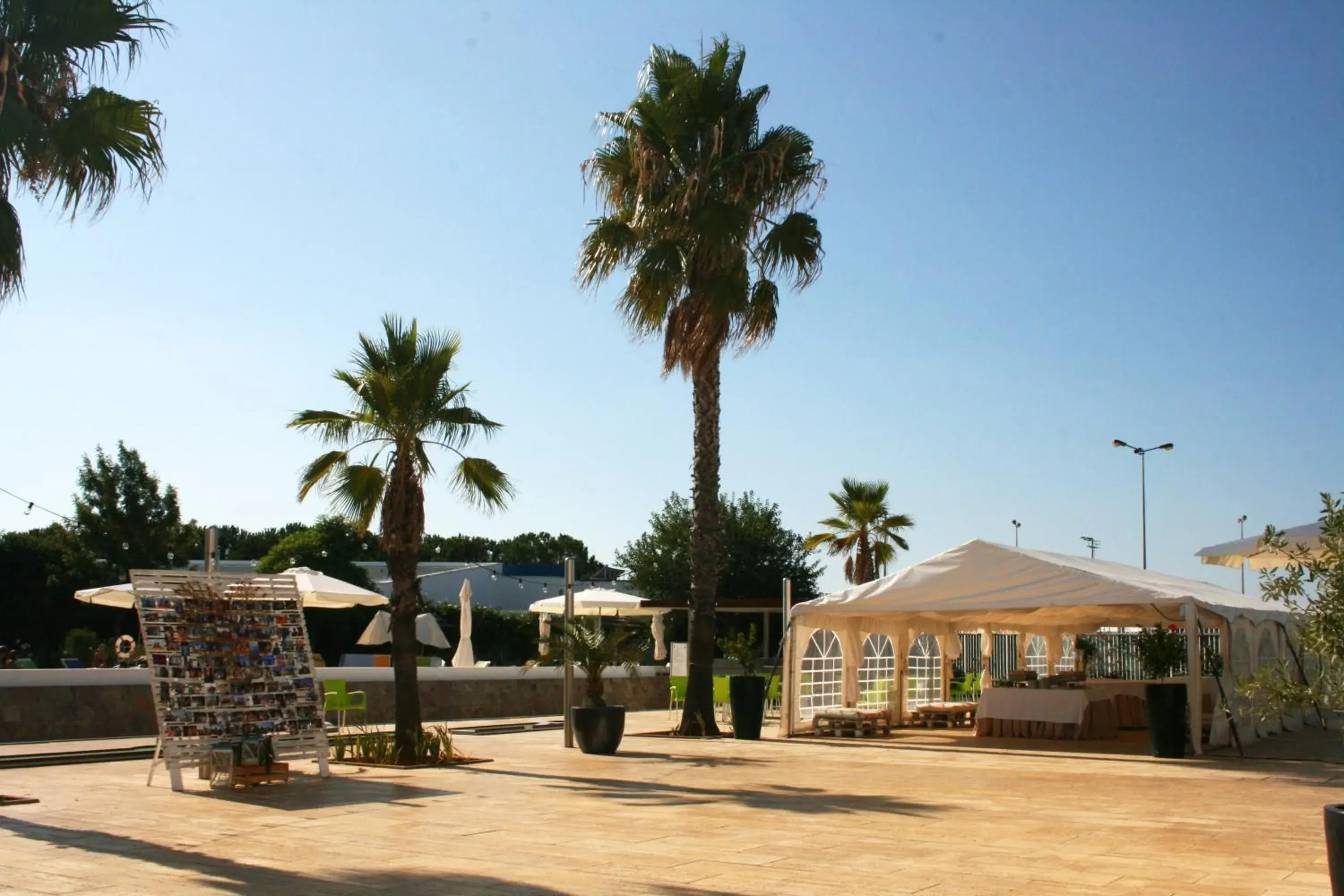 Garden in BejaParque Hotel