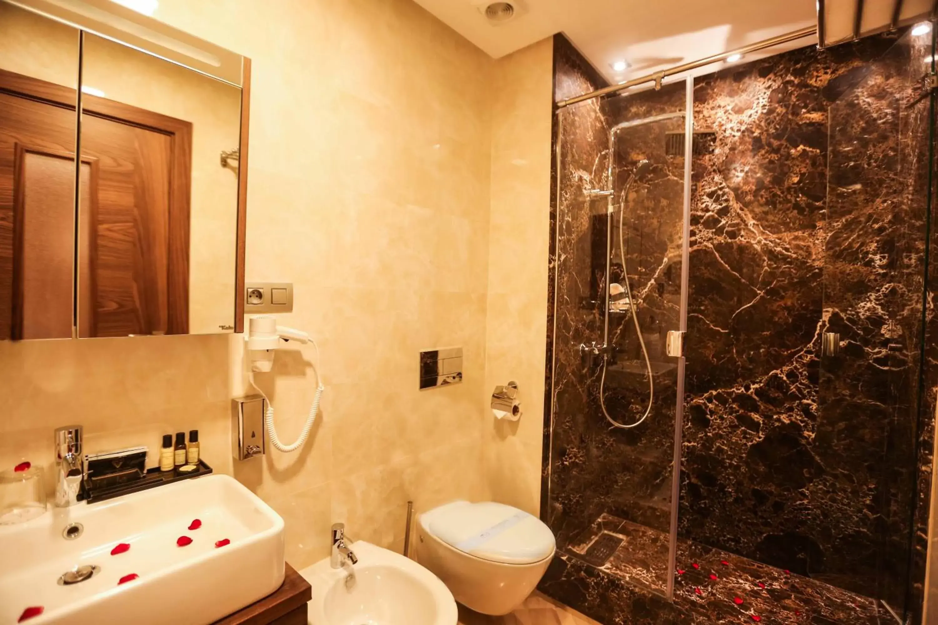 Shower, Bathroom in Suite Hotel Casa Diamond
