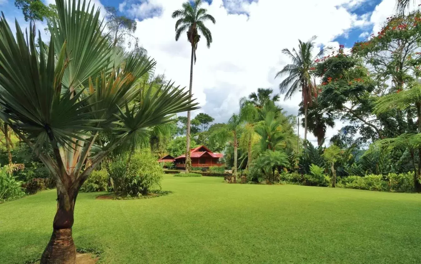 Spring, Garden in Argovia Finca Resort