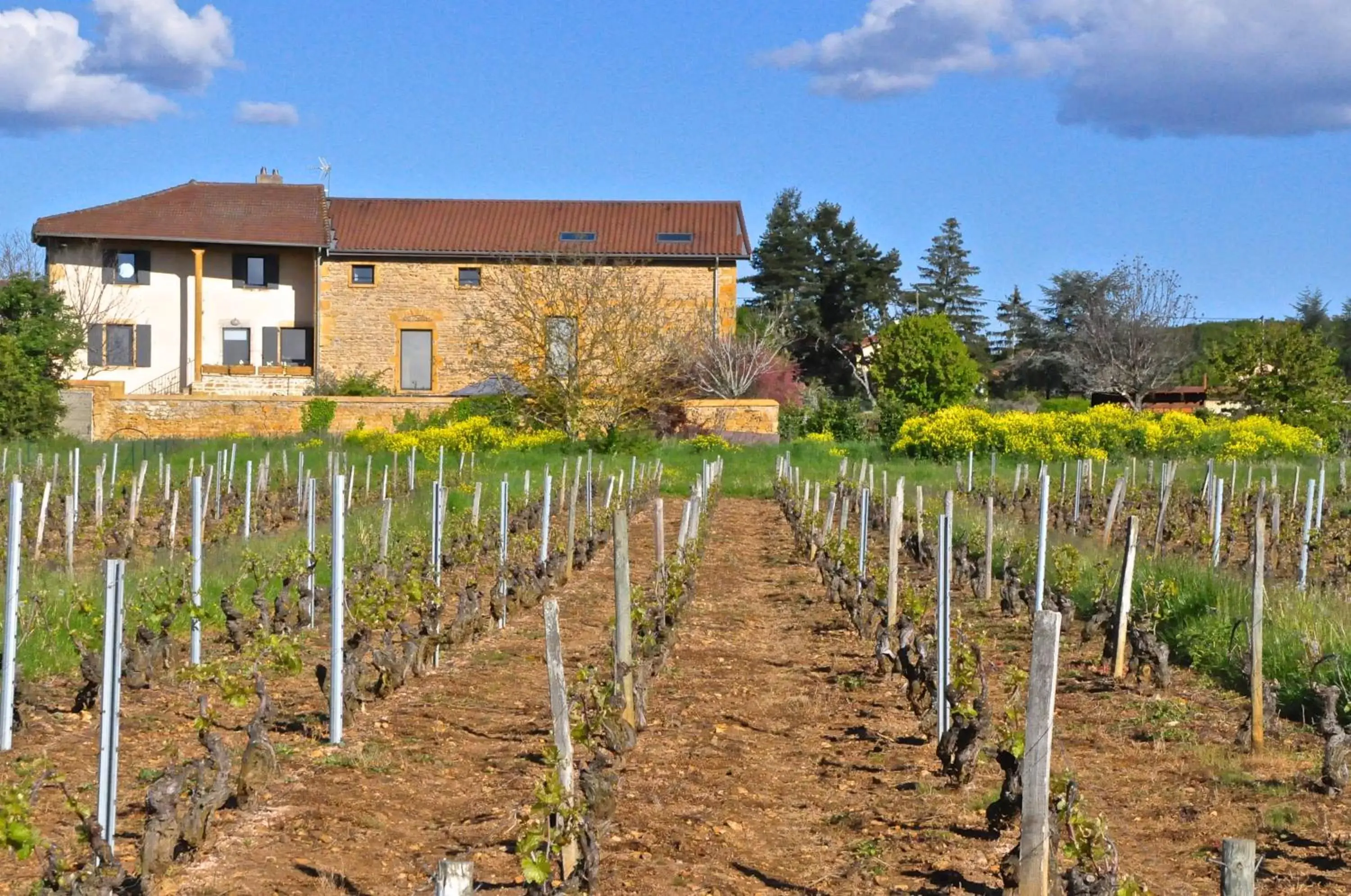 Property building, Garden in Le Clos du Cher en Beaujolais