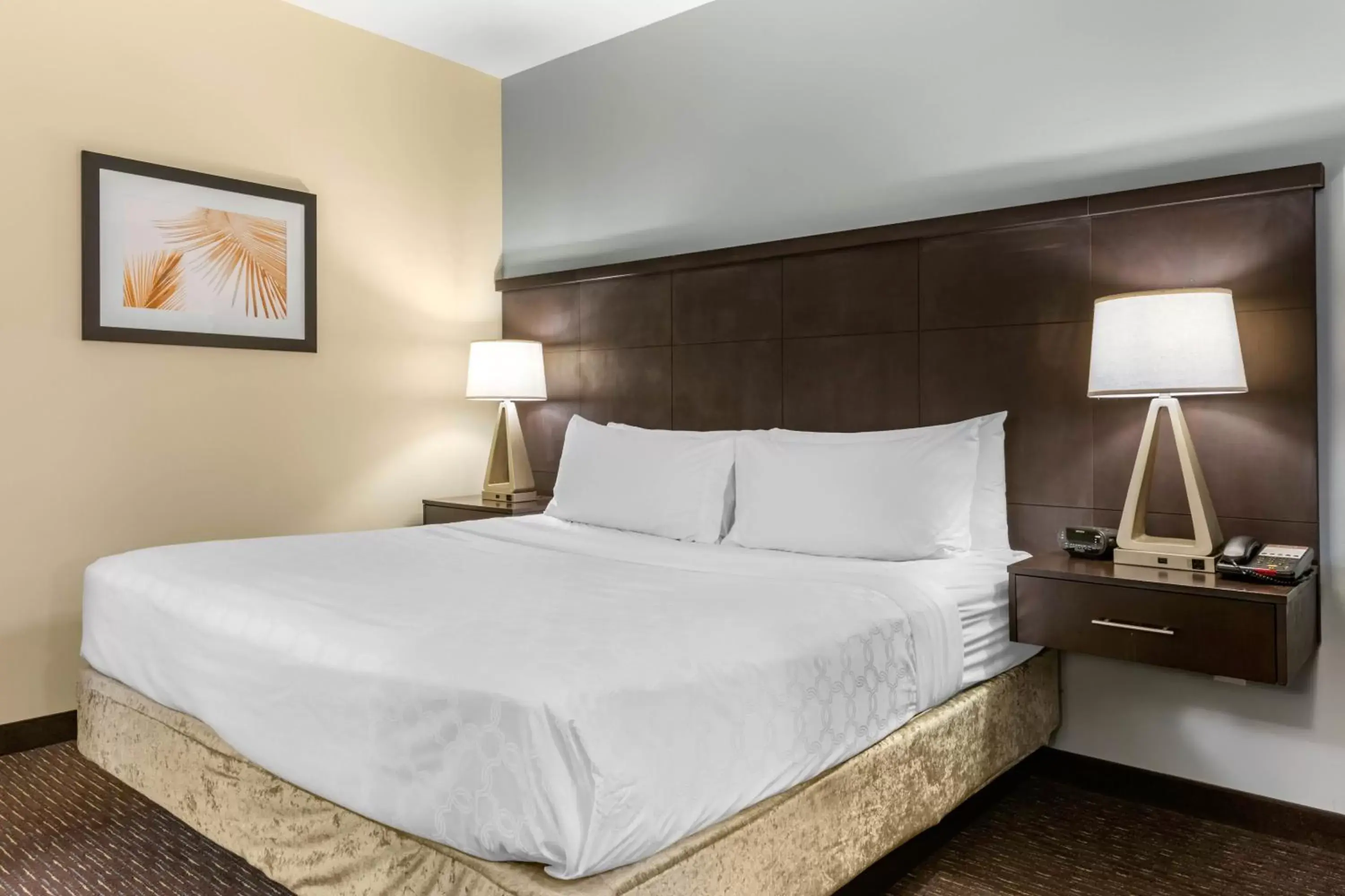 Room Photo in Staybridge Suites St. Petersburg FL, an IHG Hotel