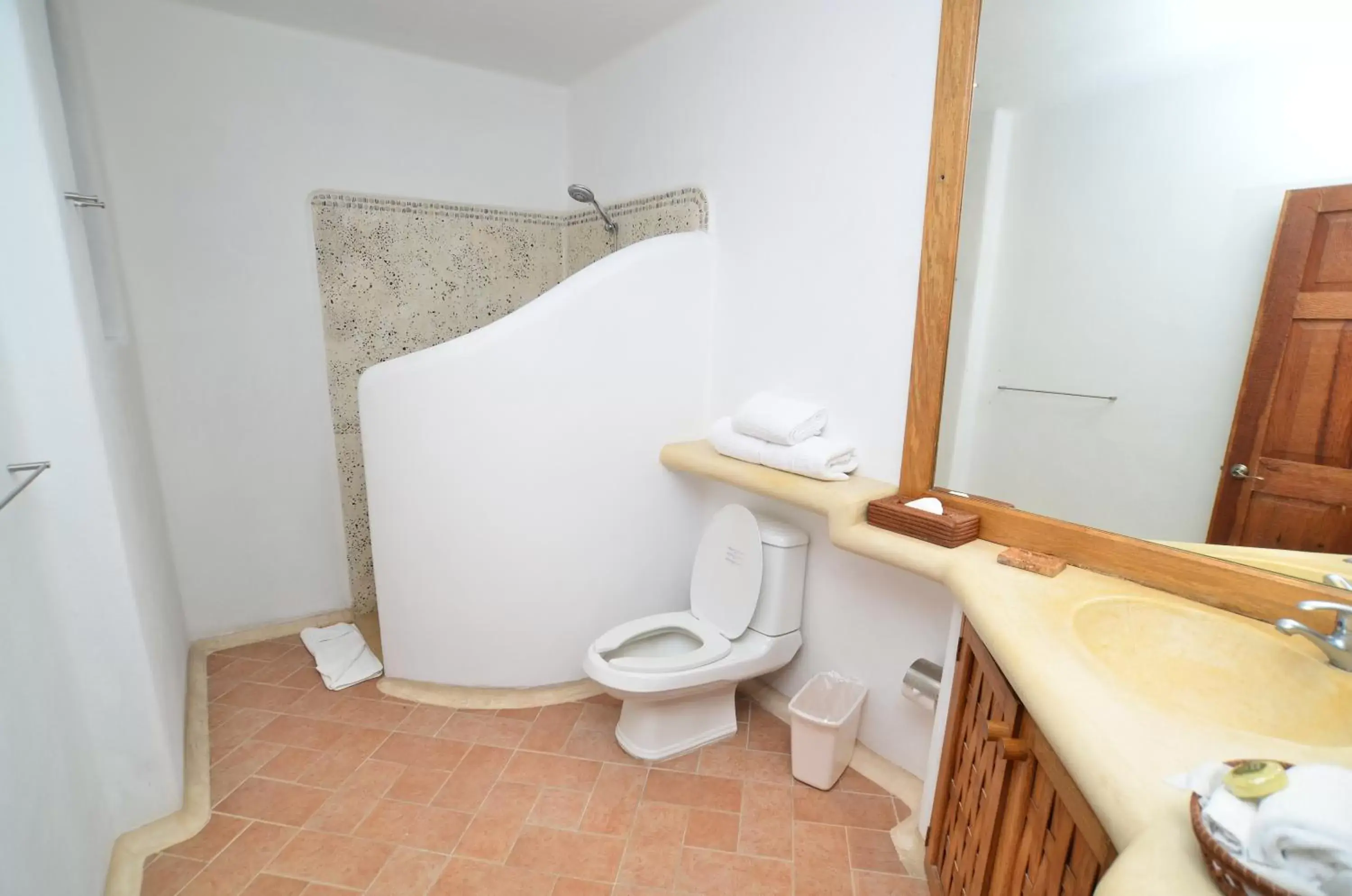 Toilet, Bathroom in Pacifica Resort Ixtapa