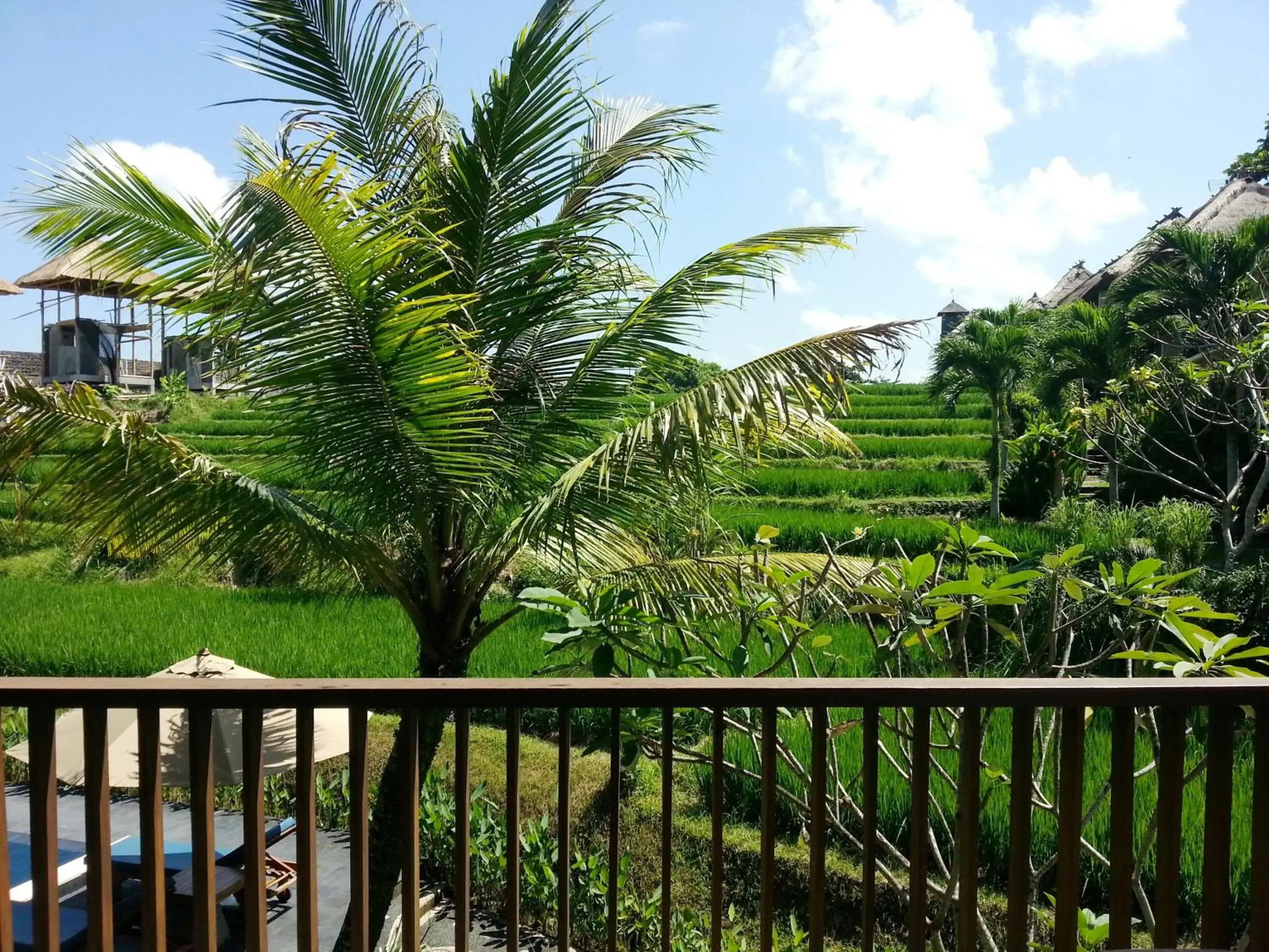 View (from property/room) in Biyukukung Suite & Spa