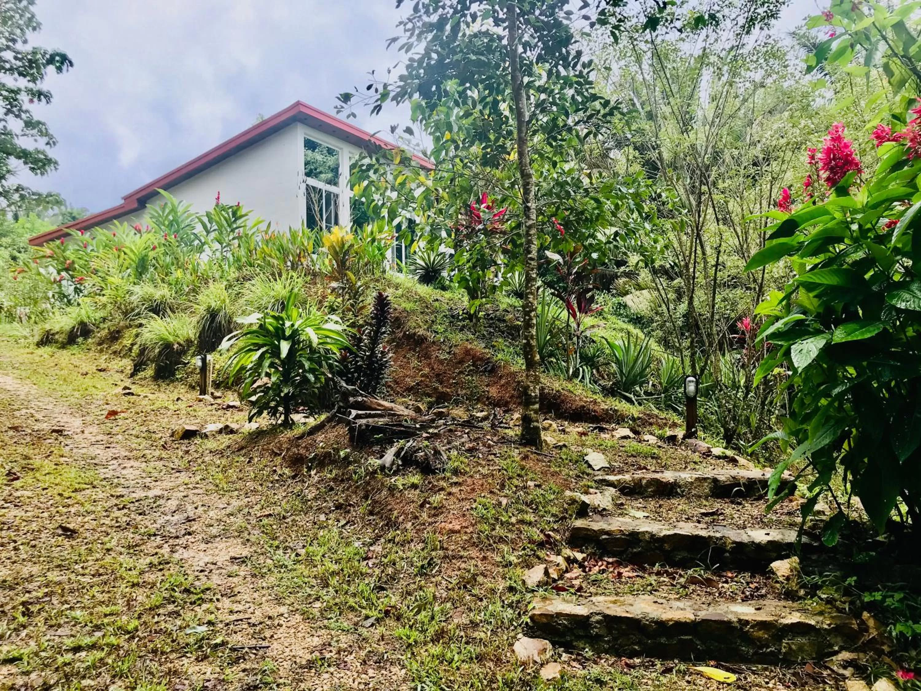 Garden view in Sattva Land