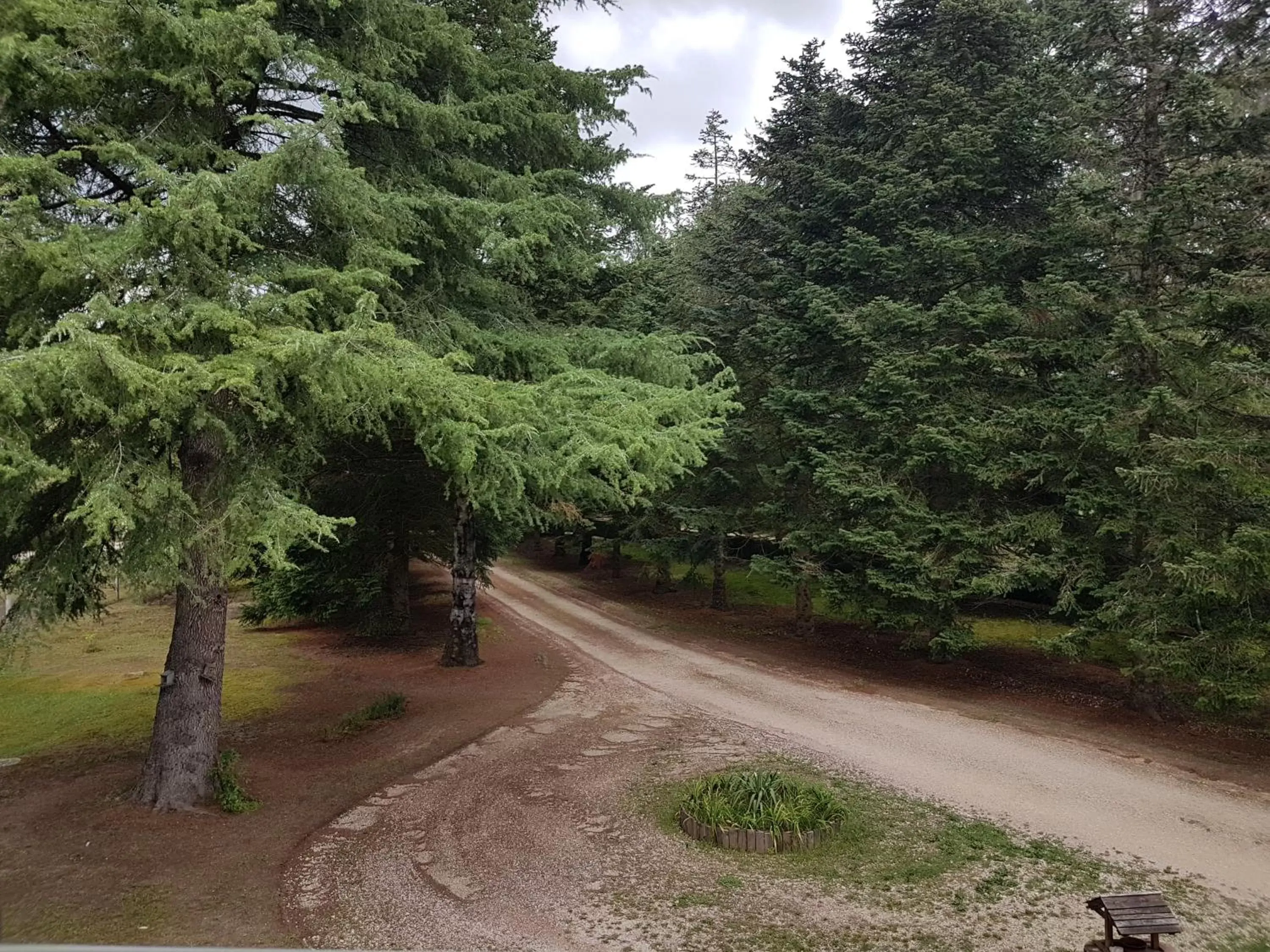 View (from property/room) in Le Clos des Écureuils