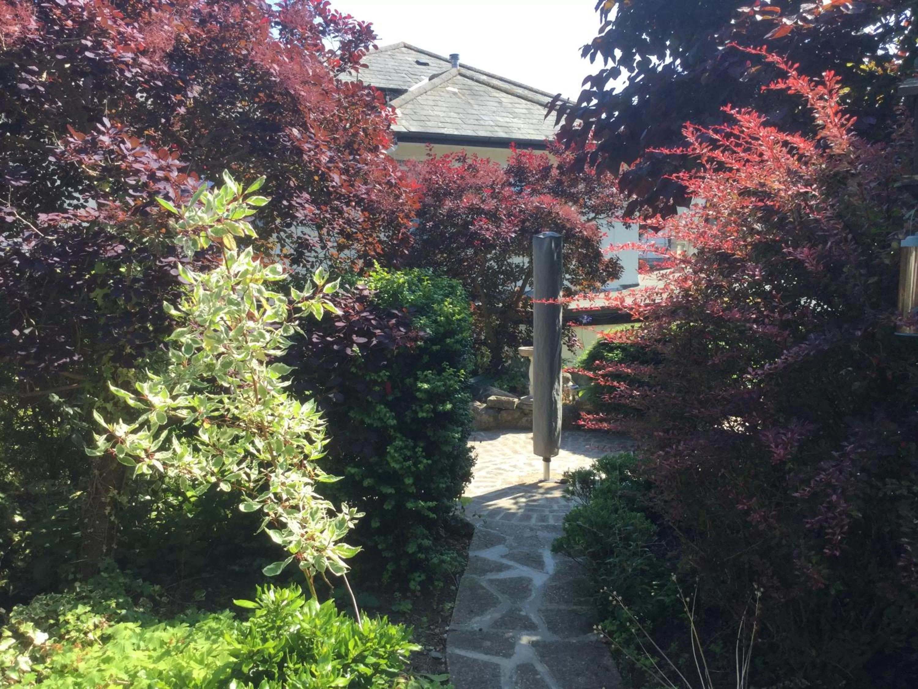 Garden in Grange Bank House