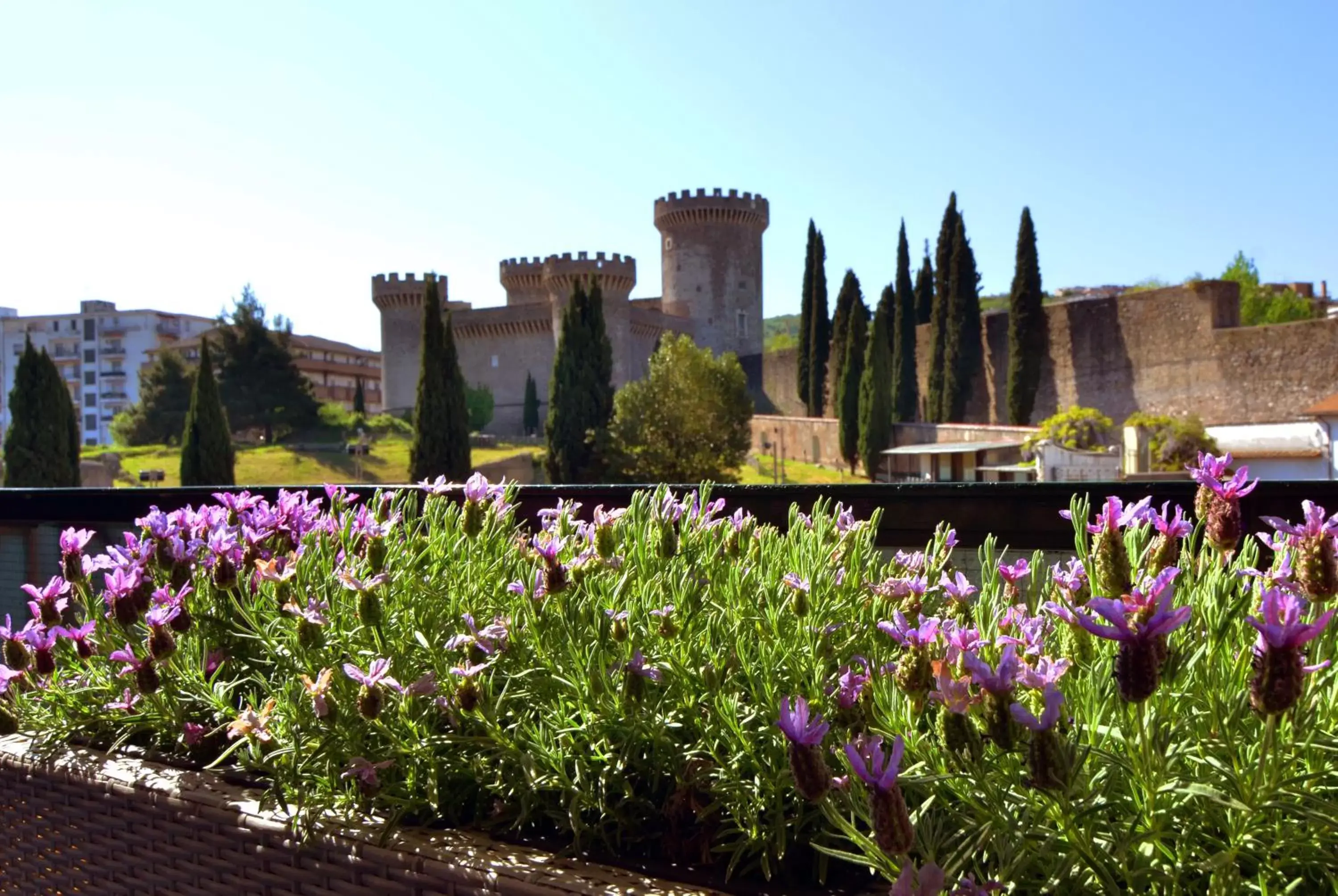 Nearby landmark in Il Castello