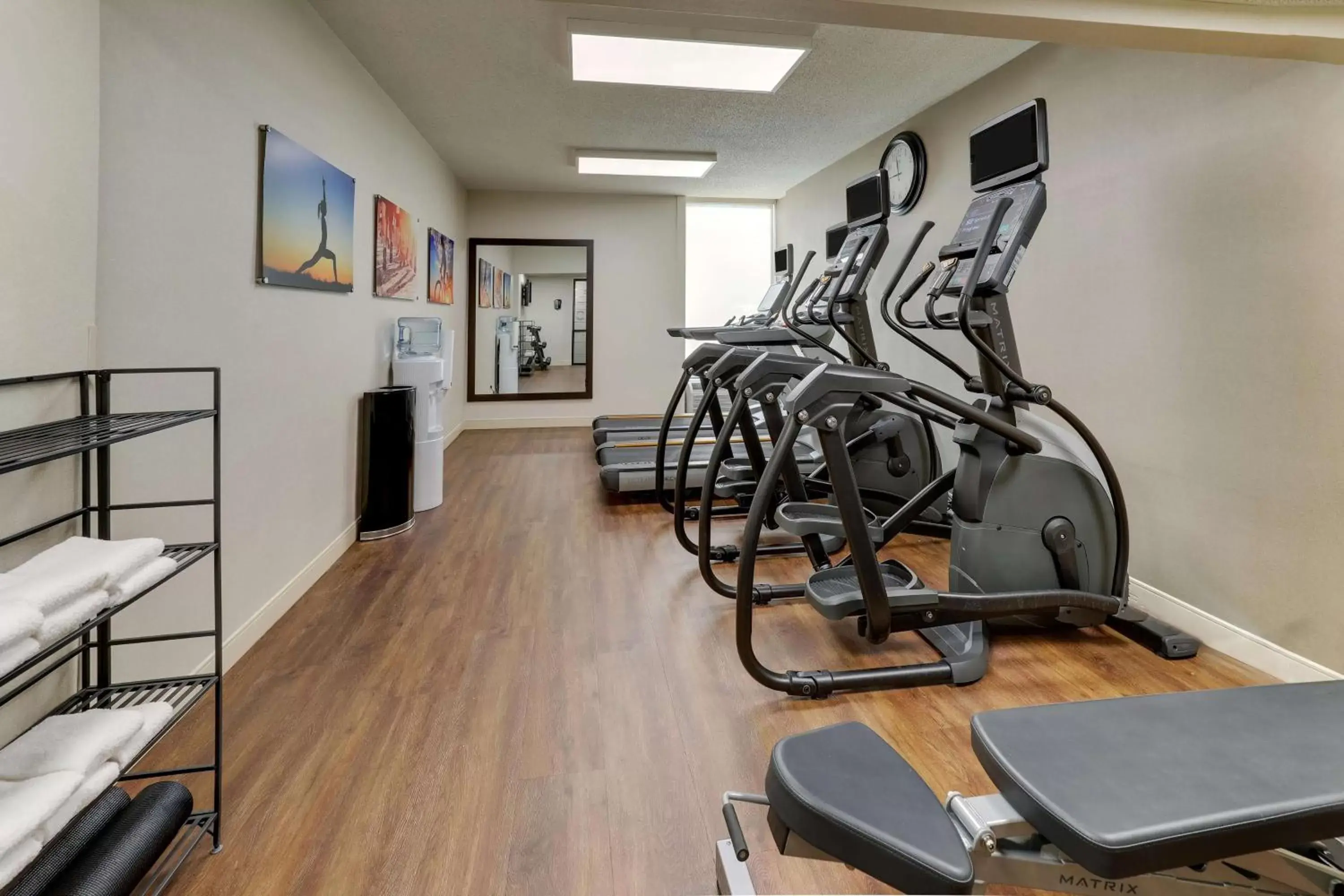Fitness centre/facilities, Fitness Center/Facilities in Drury Inn & Suites Atlanta Marietta