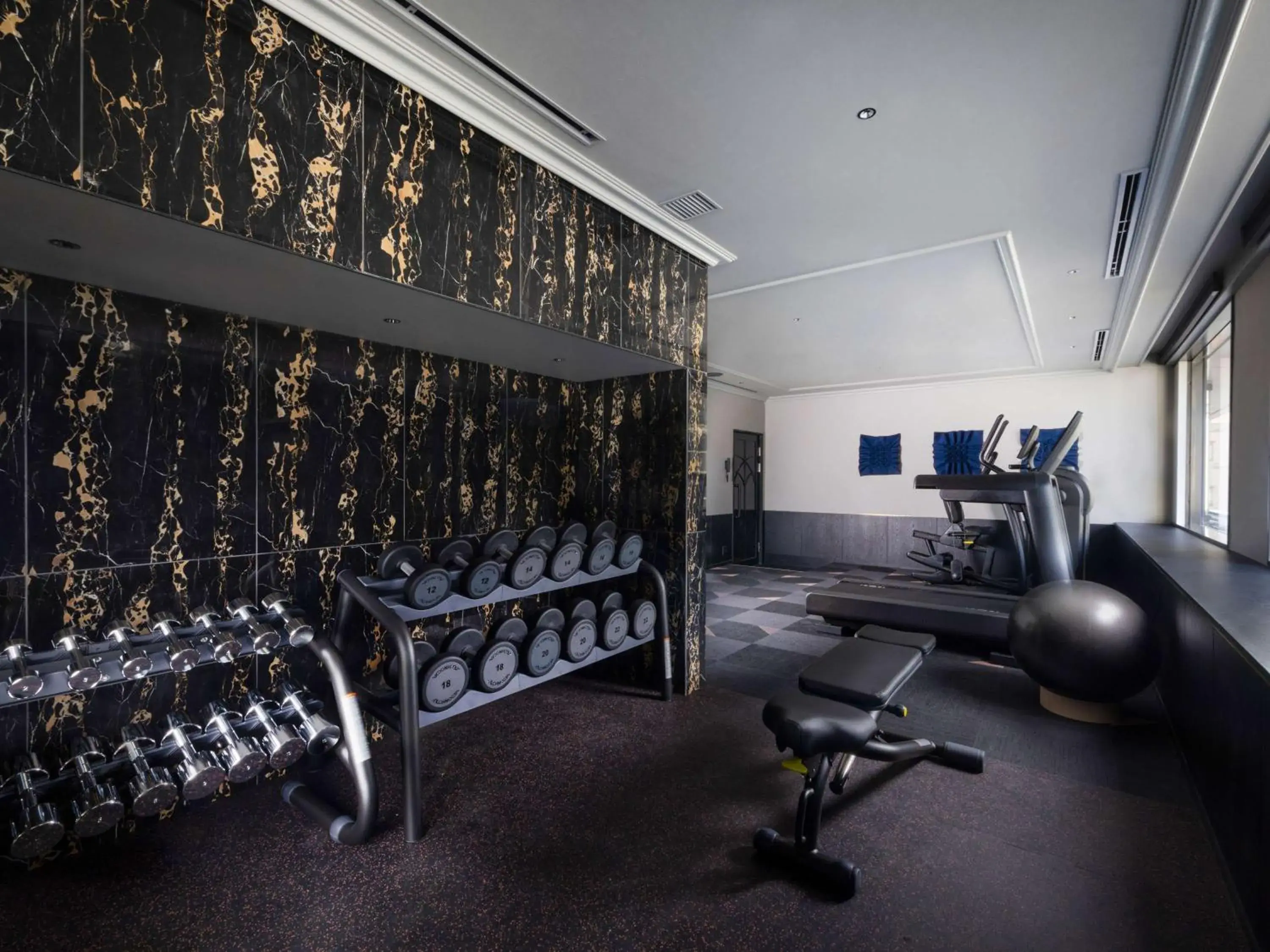 Fitness centre/facilities, Fitness Center/Facilities in Dai-ichi Hotel Annex