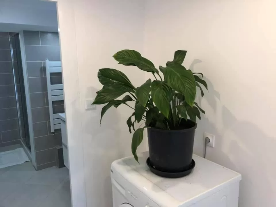 Les Terrasses d'Angoulême