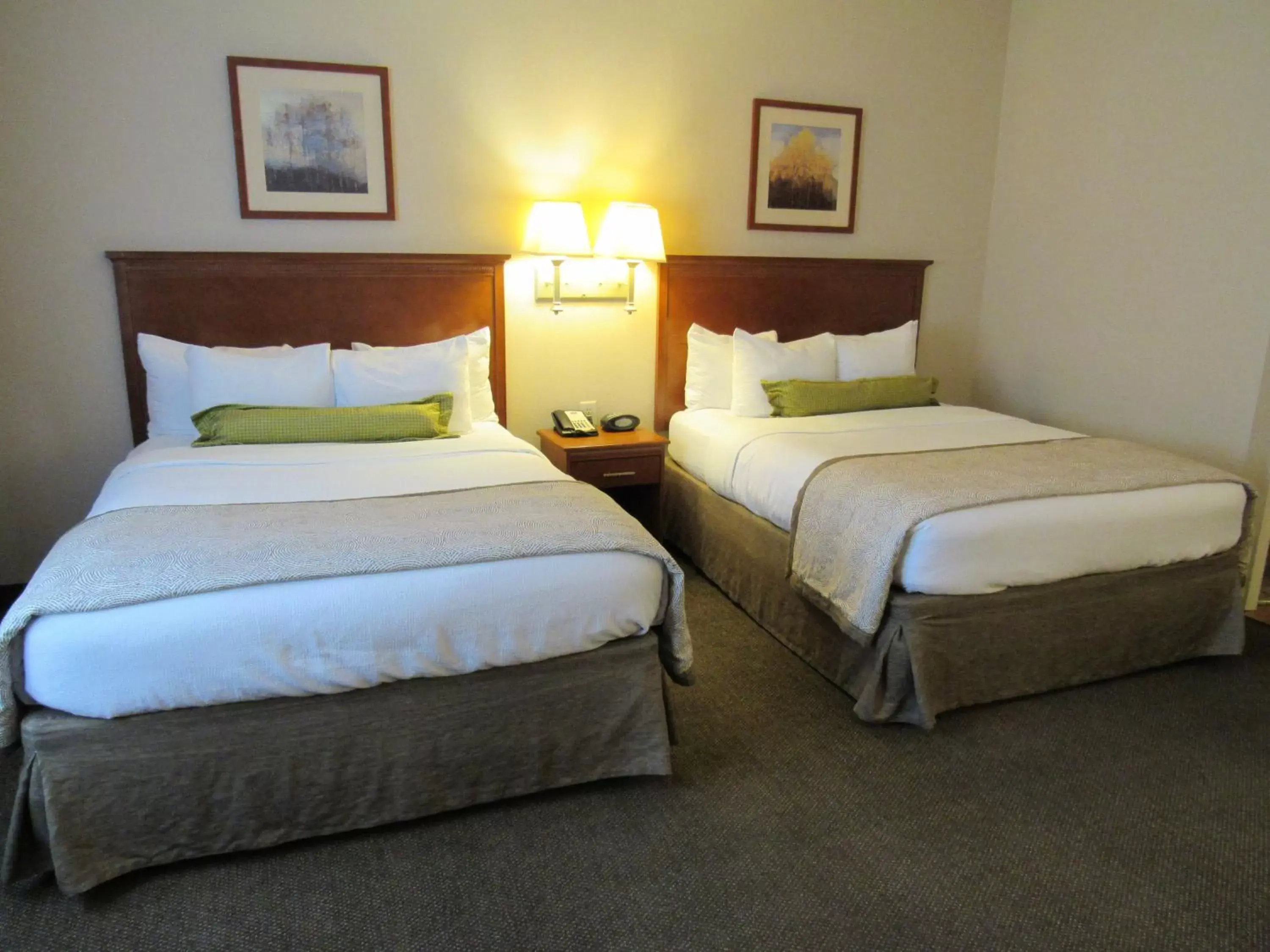 Photo of the whole room, Bed in Candlewood Suites Murfreesboro, an IHG Hotel