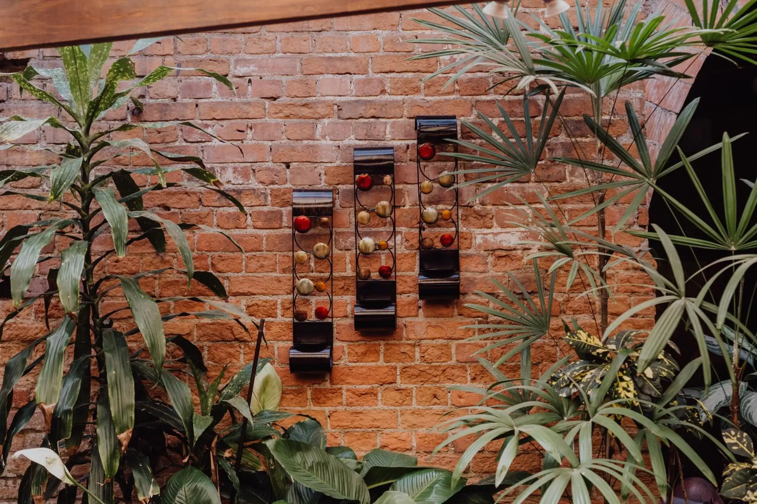 Patio in Hotel Dunn Inn