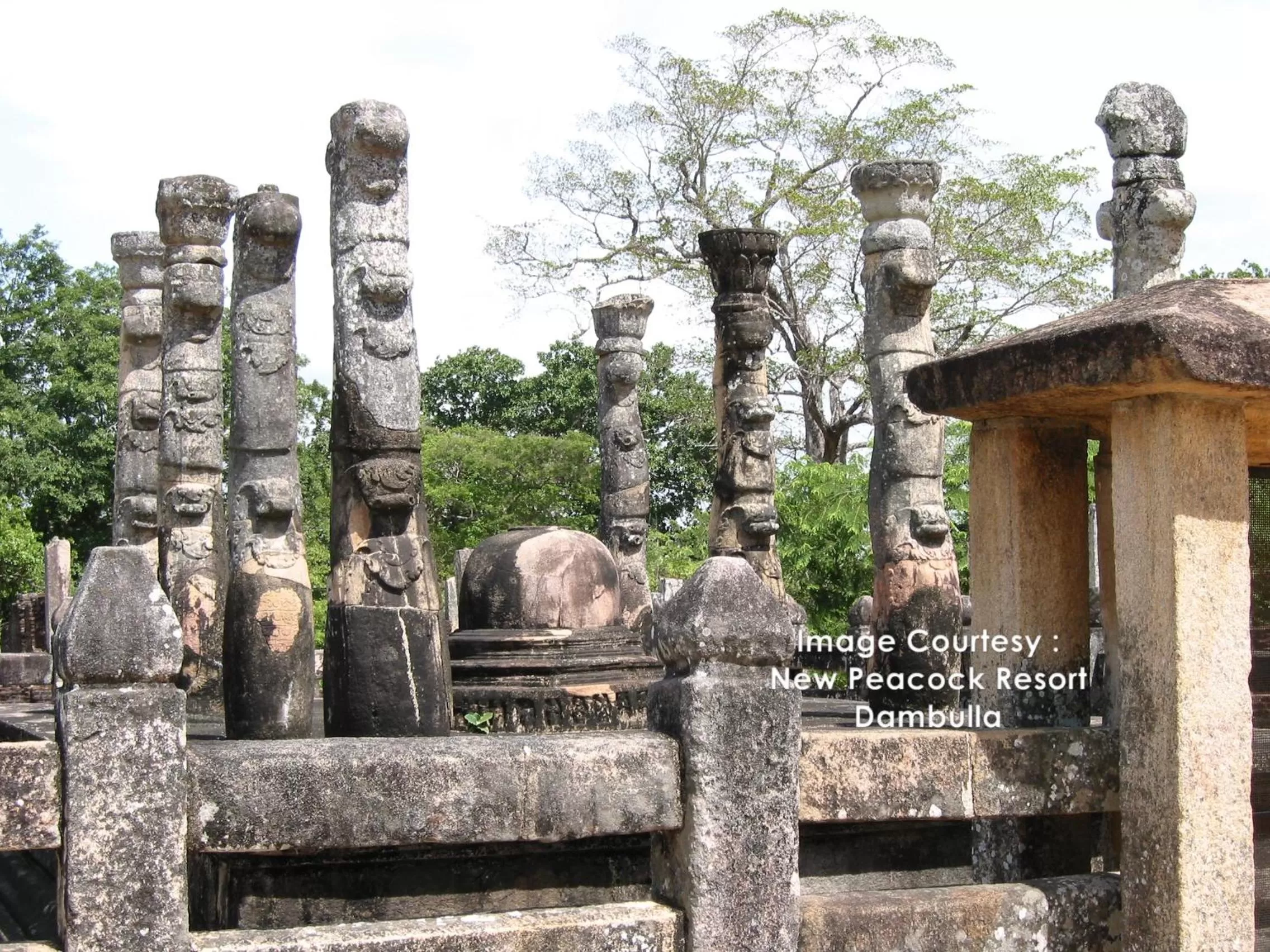 Nearby landmark in New Peacock Resort