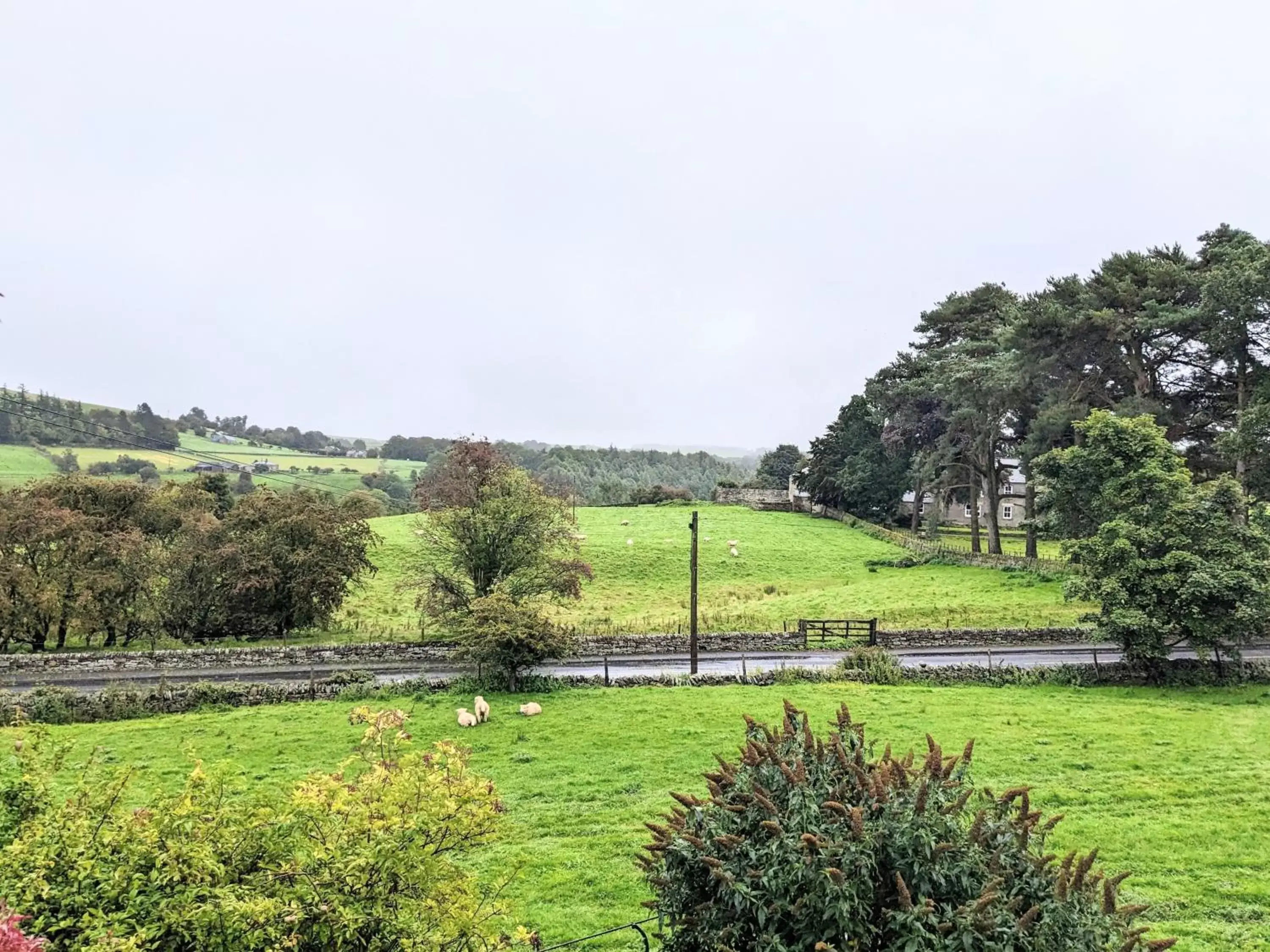 Garden in Thornley House