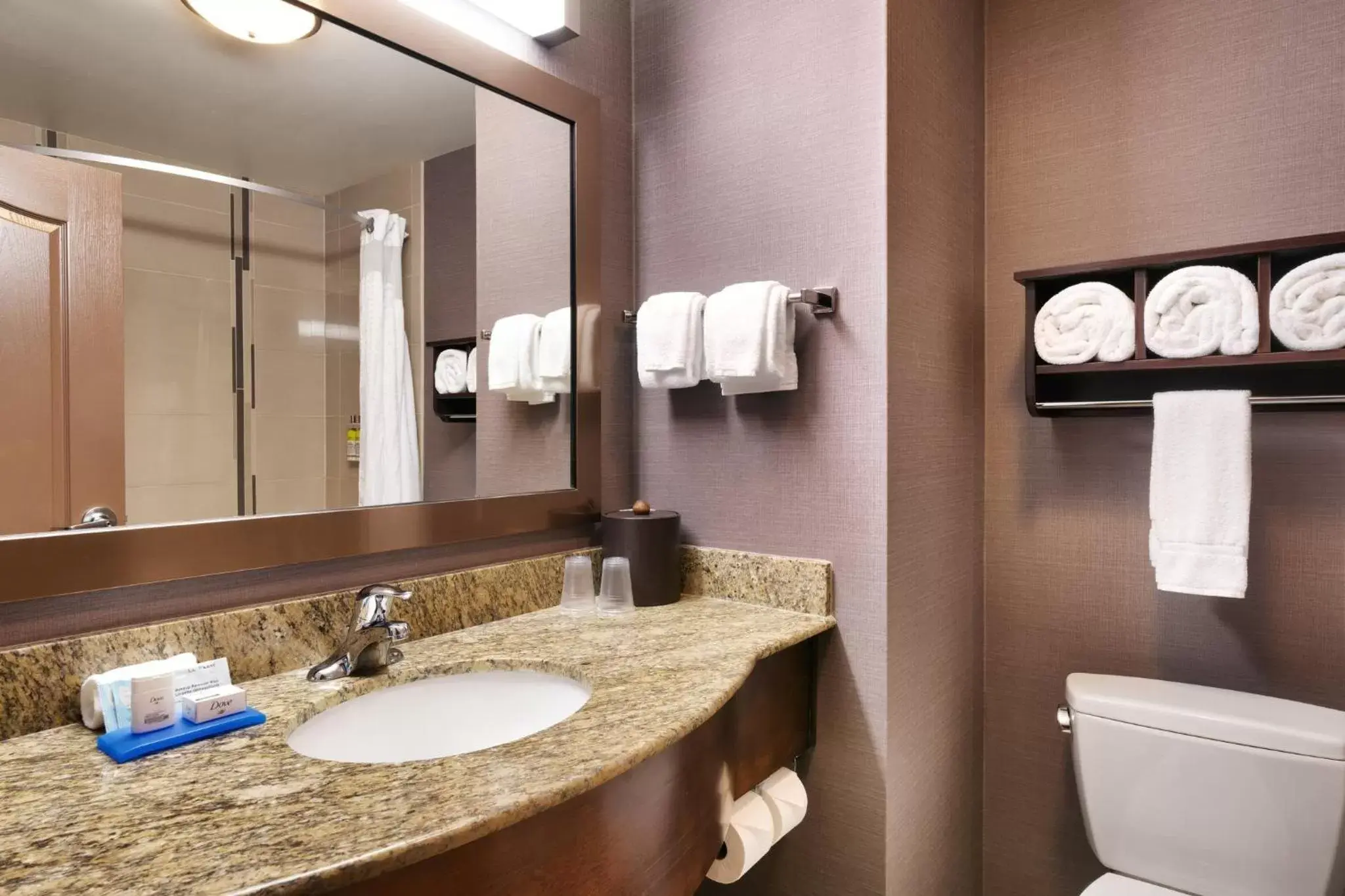 Bathroom in Holiday Inn Express Hotel & Suites Billings, an IHG Hotel