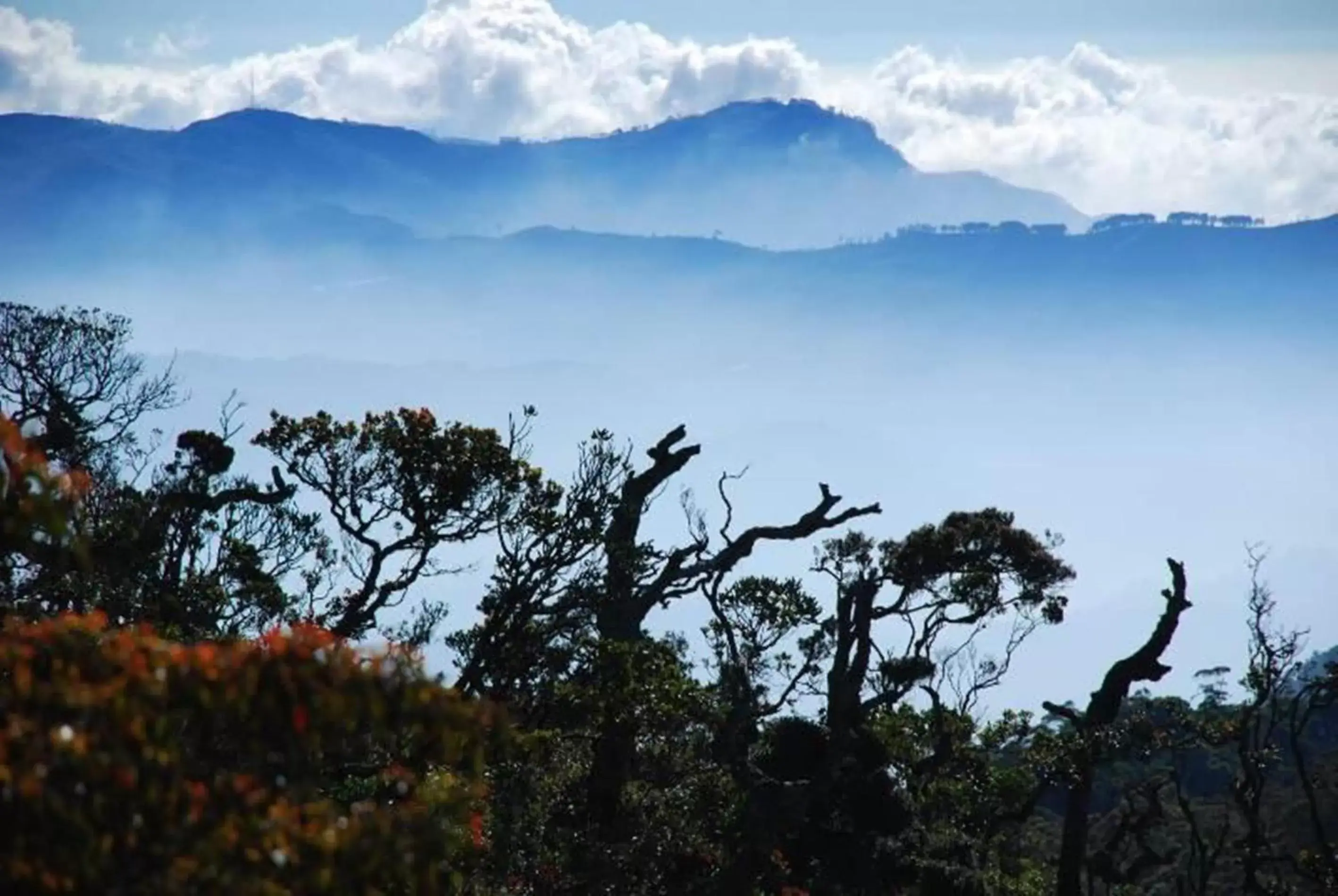 Natural landscape in Jetwing St Andrew's