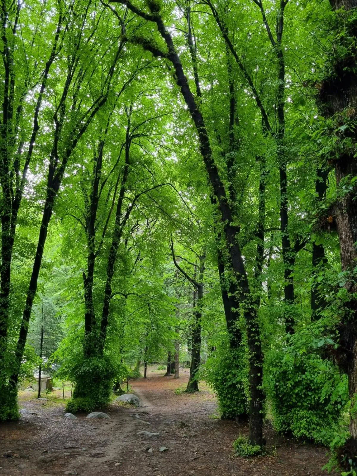 View (from property/room) in Banon Resorts