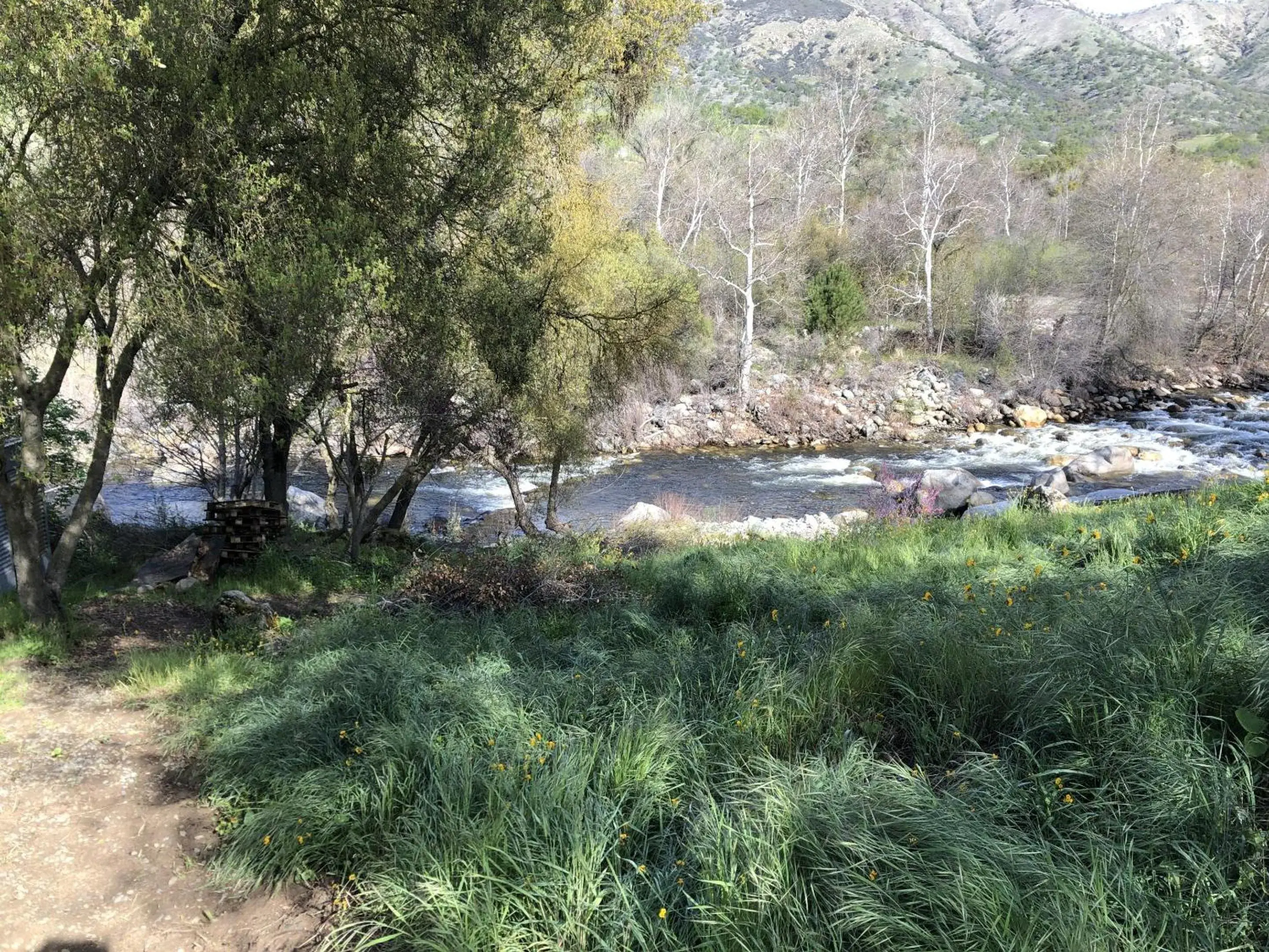 Natural landscape in Sierra Lodge Three Rivers