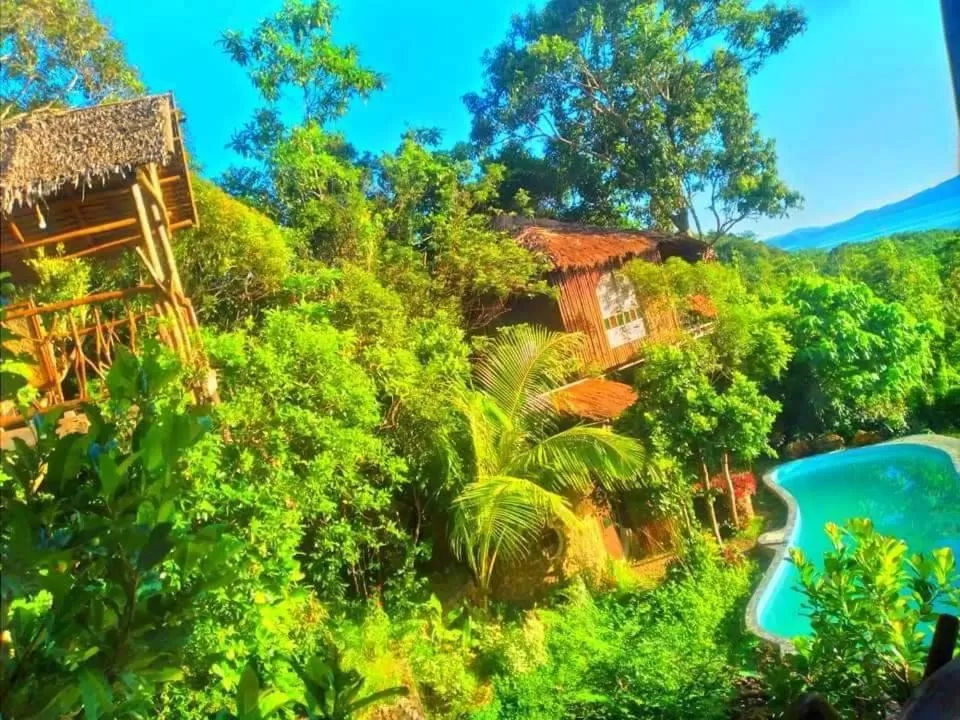 Sanctuaria Treehouses Busuanga