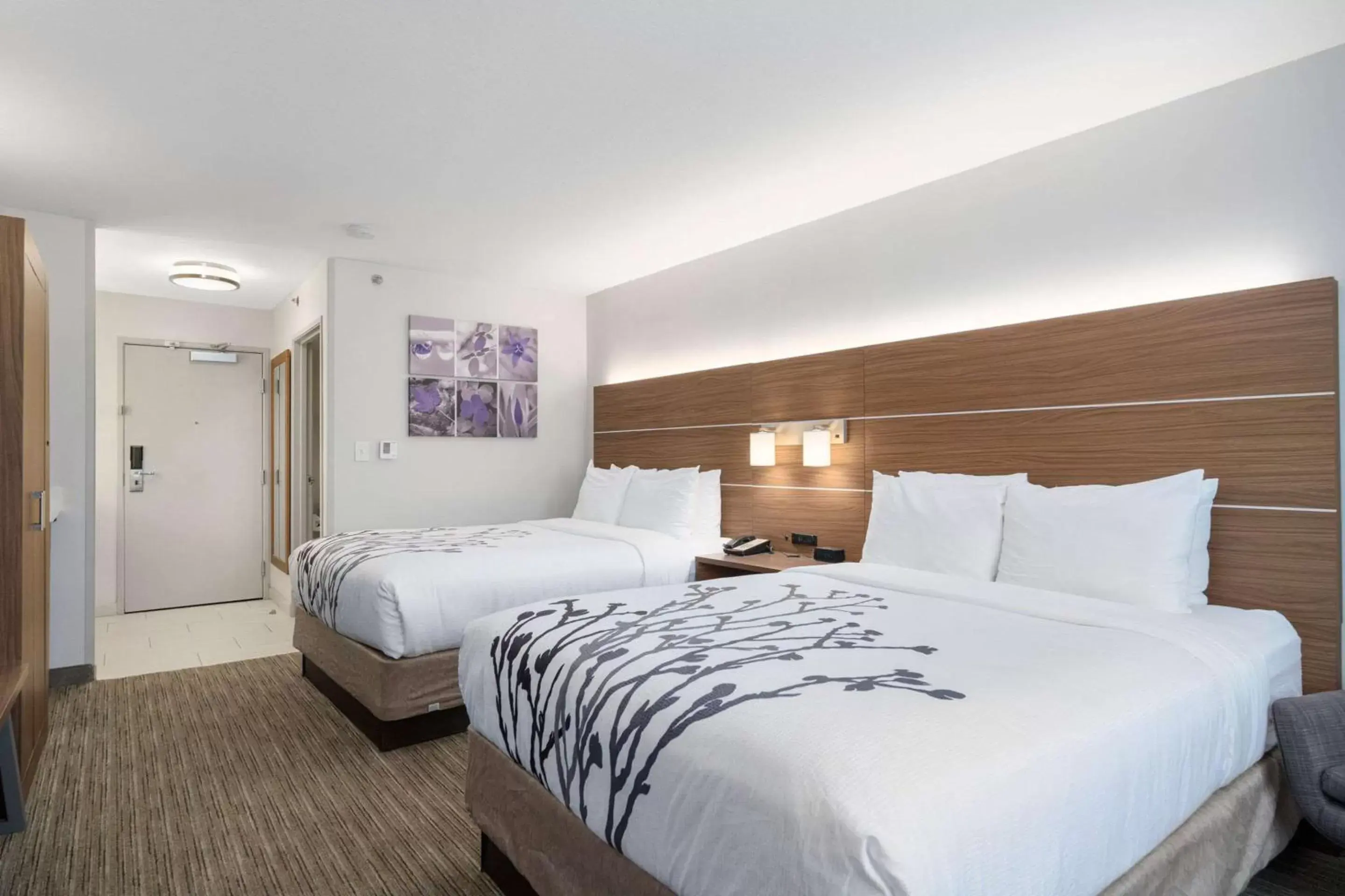 Bedroom, Bed in Sleep Inn & Suites Tempe ASU Campus