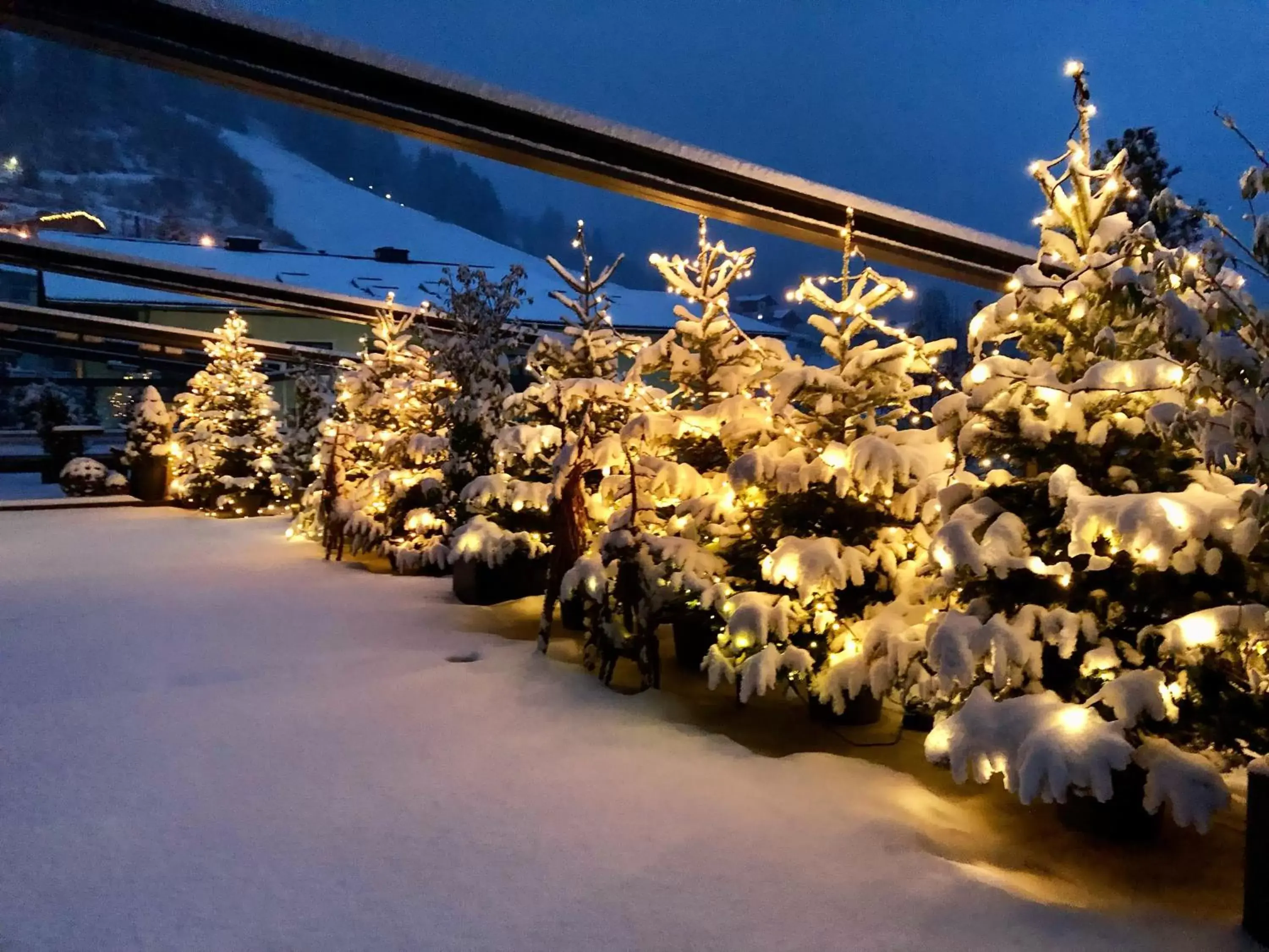 Balcony/Terrace, Winter in Aktivhotel Alpendorf