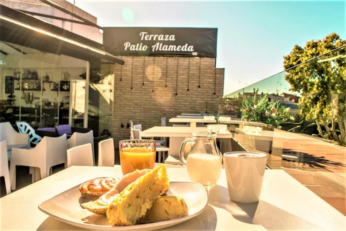 Food and drinks in Patio de La Alameda