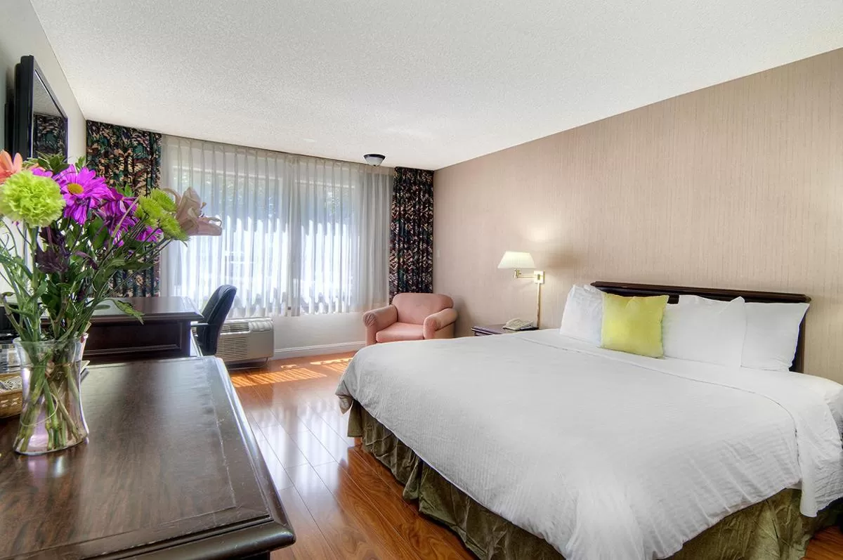 Day, Bed in County Inn